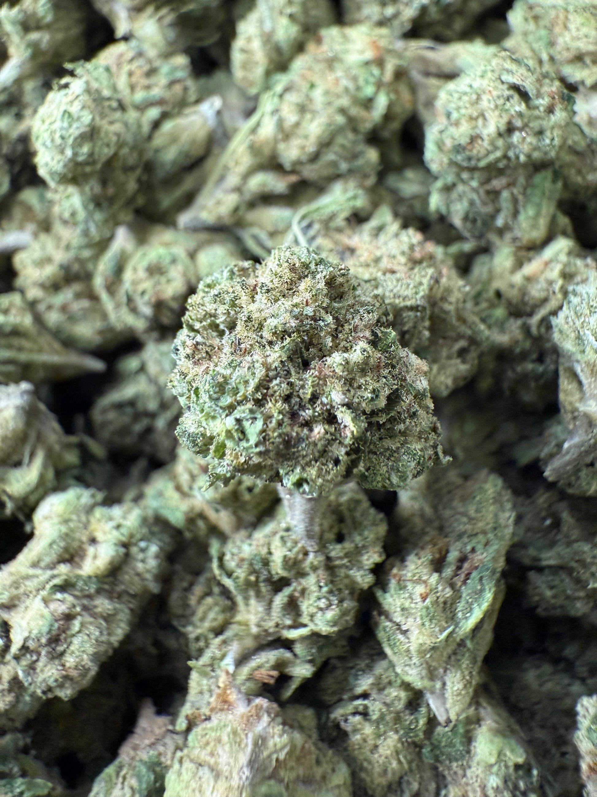 1 Pound of Pina Acai THCA (Smalls) FL Fulfillment Center