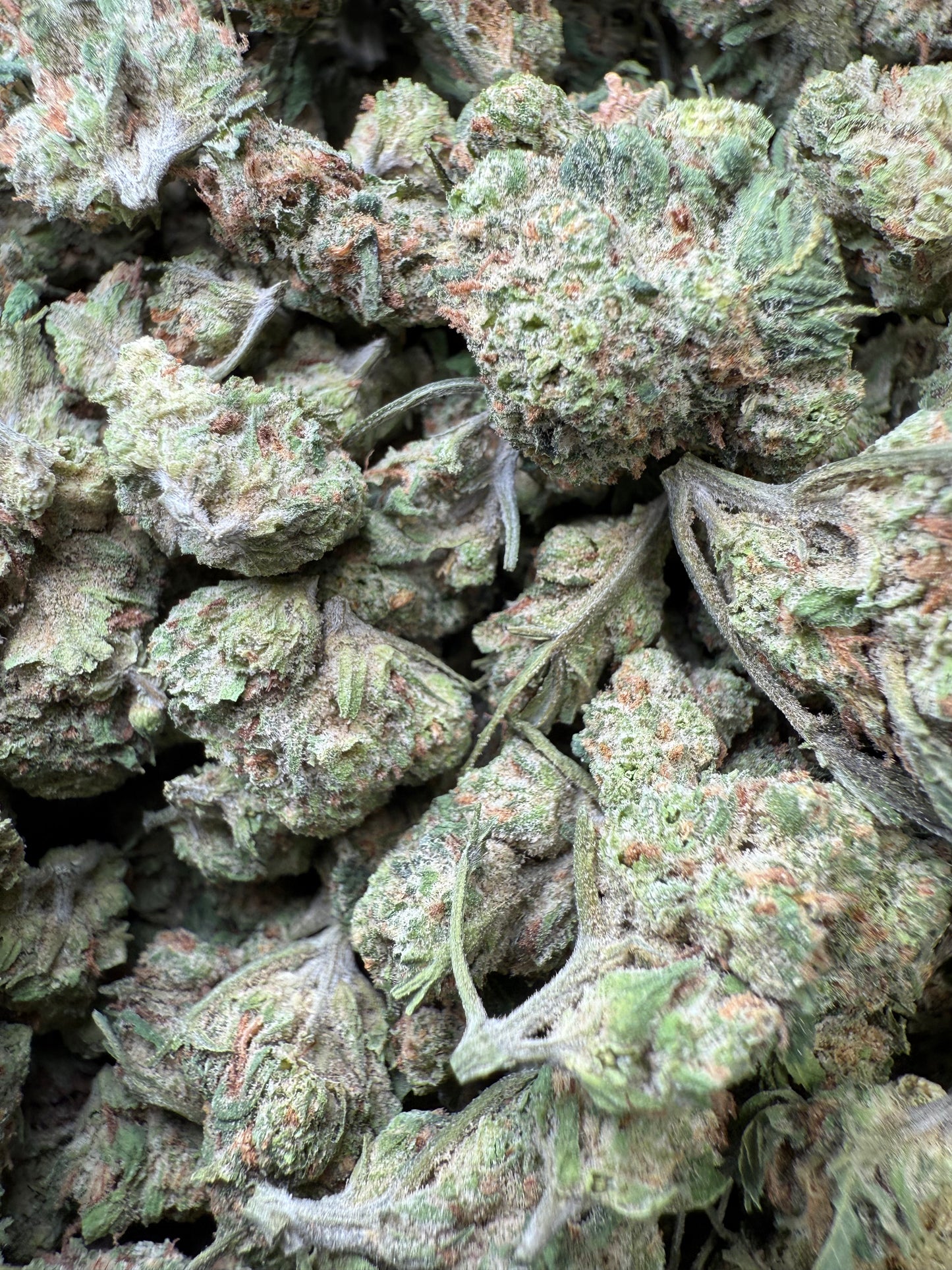 1 Pound of Purple LSD THCA (Small) FL Fulfillment Center