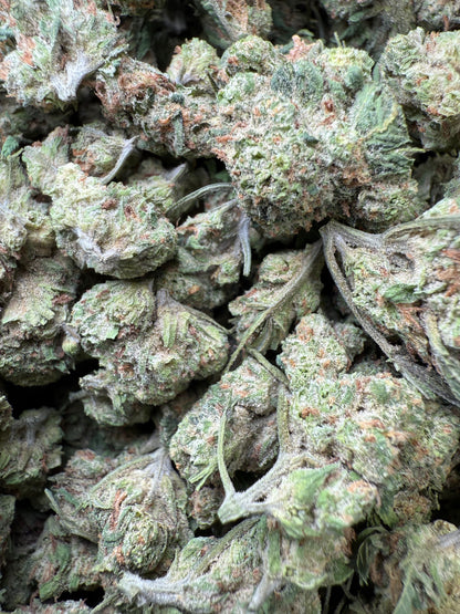 1 Pound of Purple LSD THCA (Small) FL Fulfillment Center