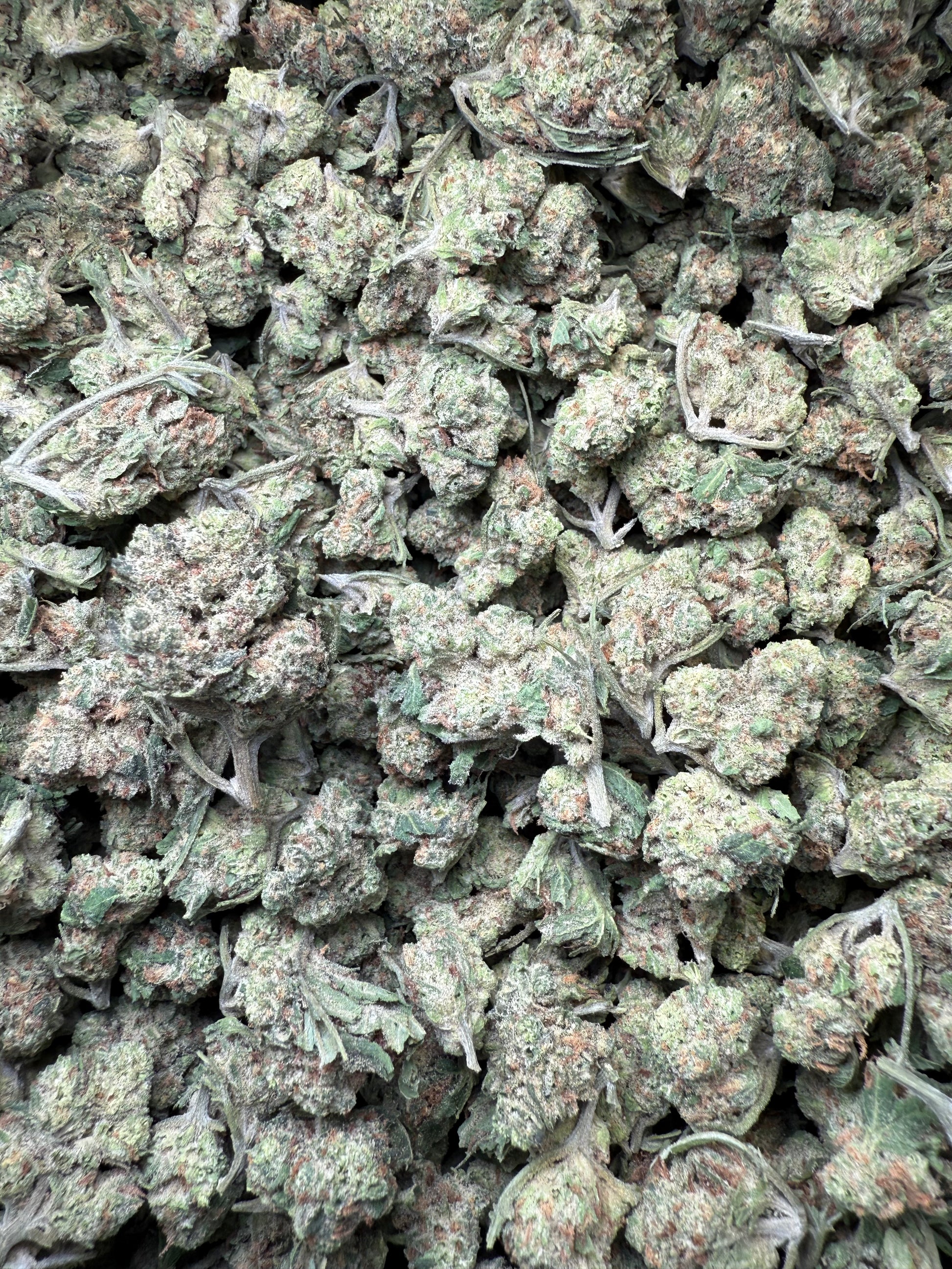 1 Pound of Purple LSD THCA (Small) FL Fulfillment Center