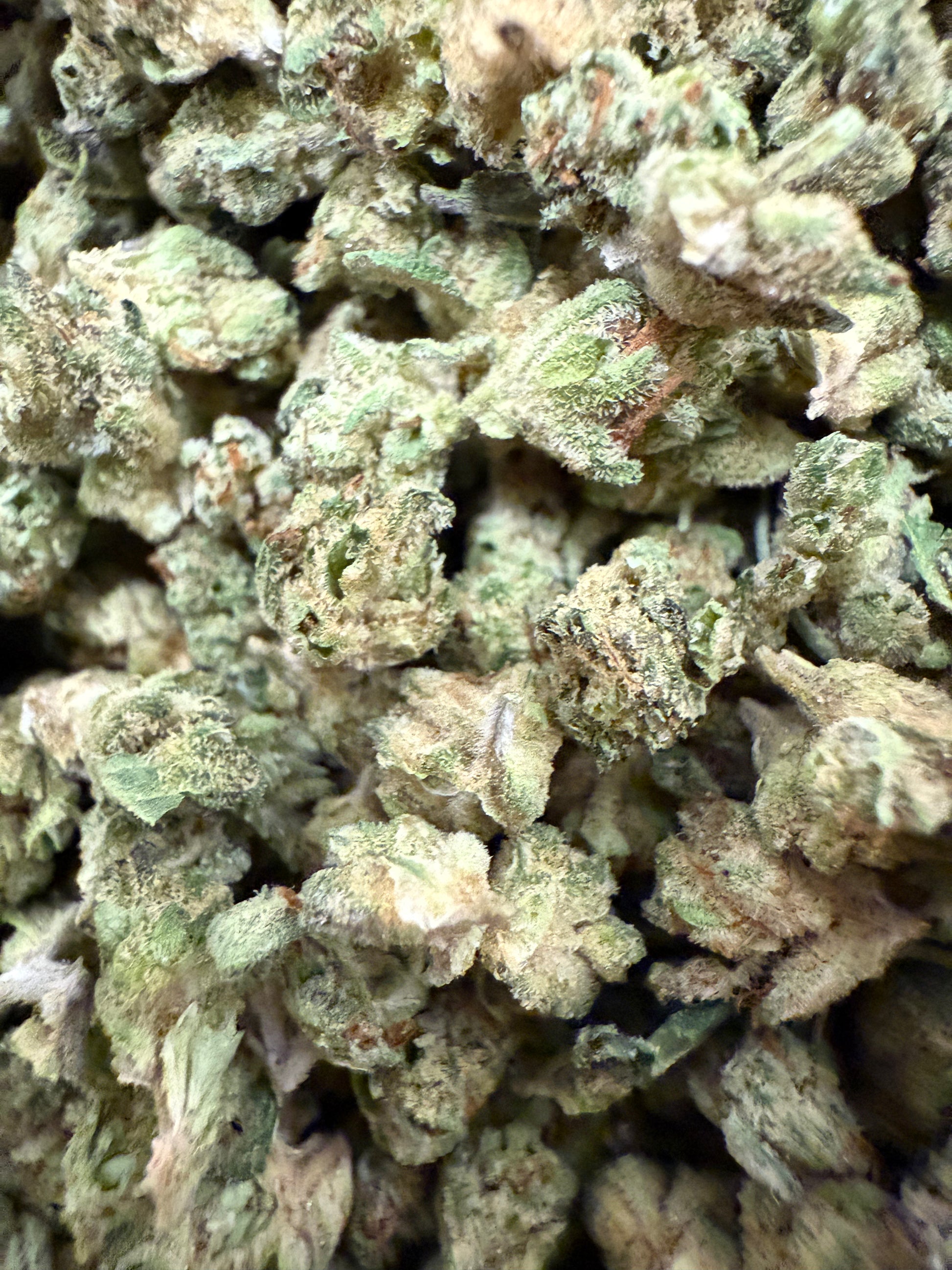1 Pound of Gelato Punch Strain THCA (Micro) FL Fulfillment Center