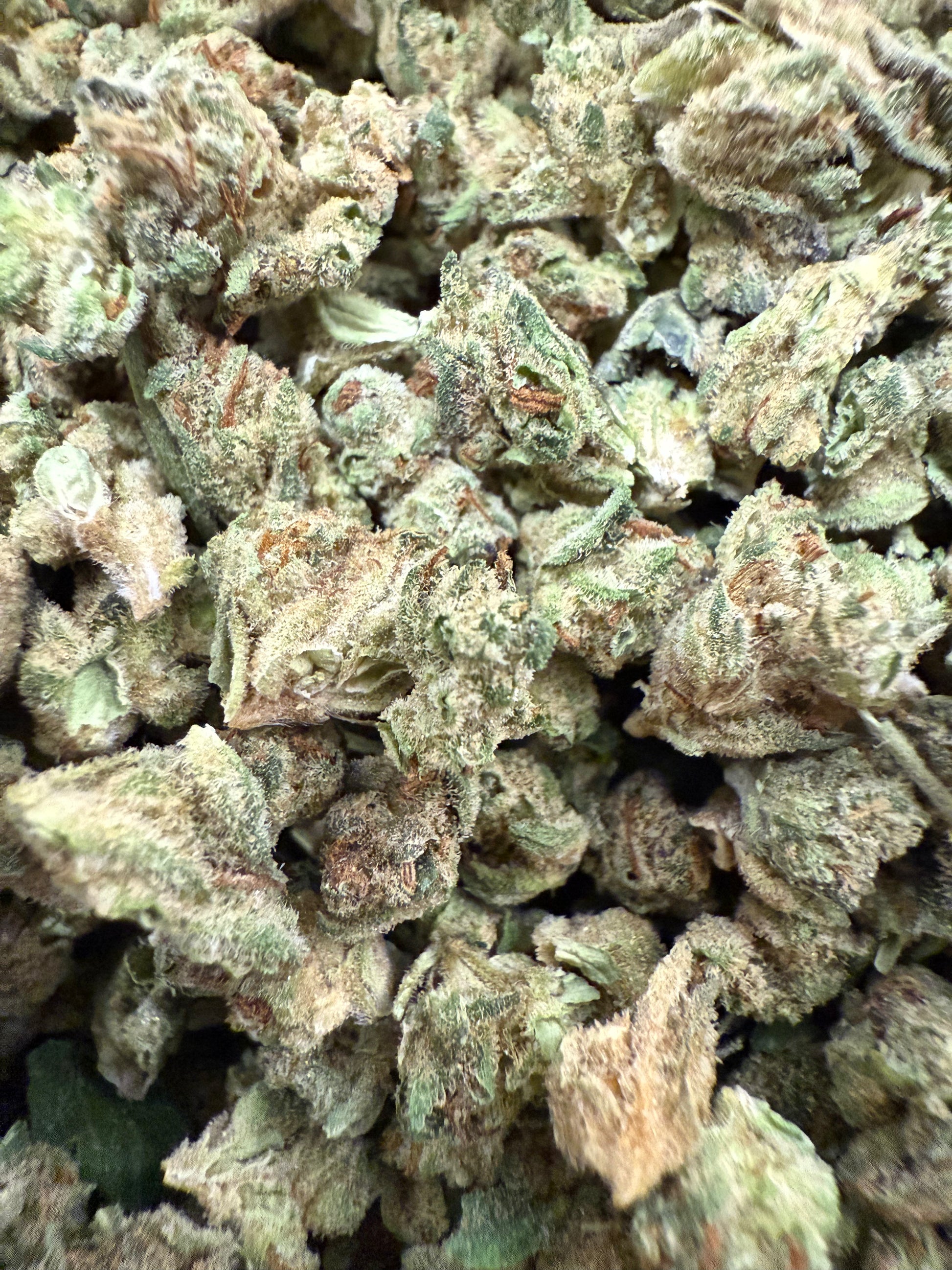 1 Pound of Gelato Punch Strain THCA (Micro) FL Fulfillment Center