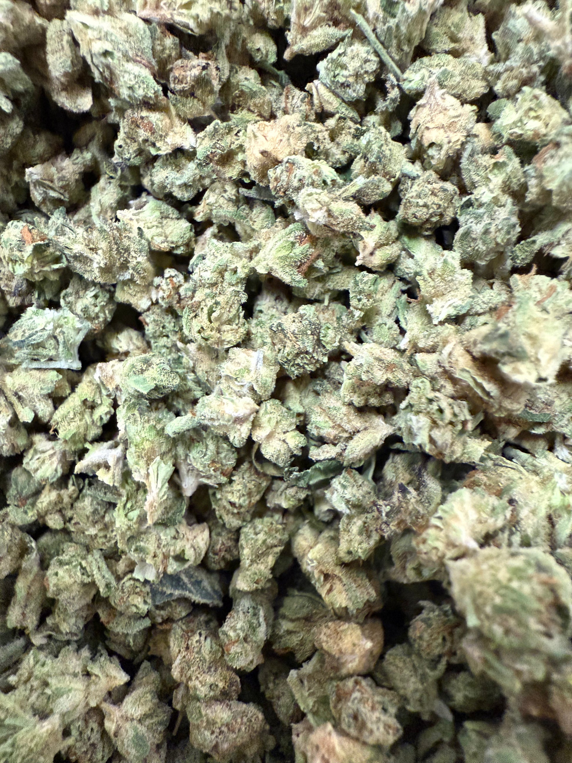 1 Pound of Gelato Punch Strain THCA (Micro) FL Fulfillment Center