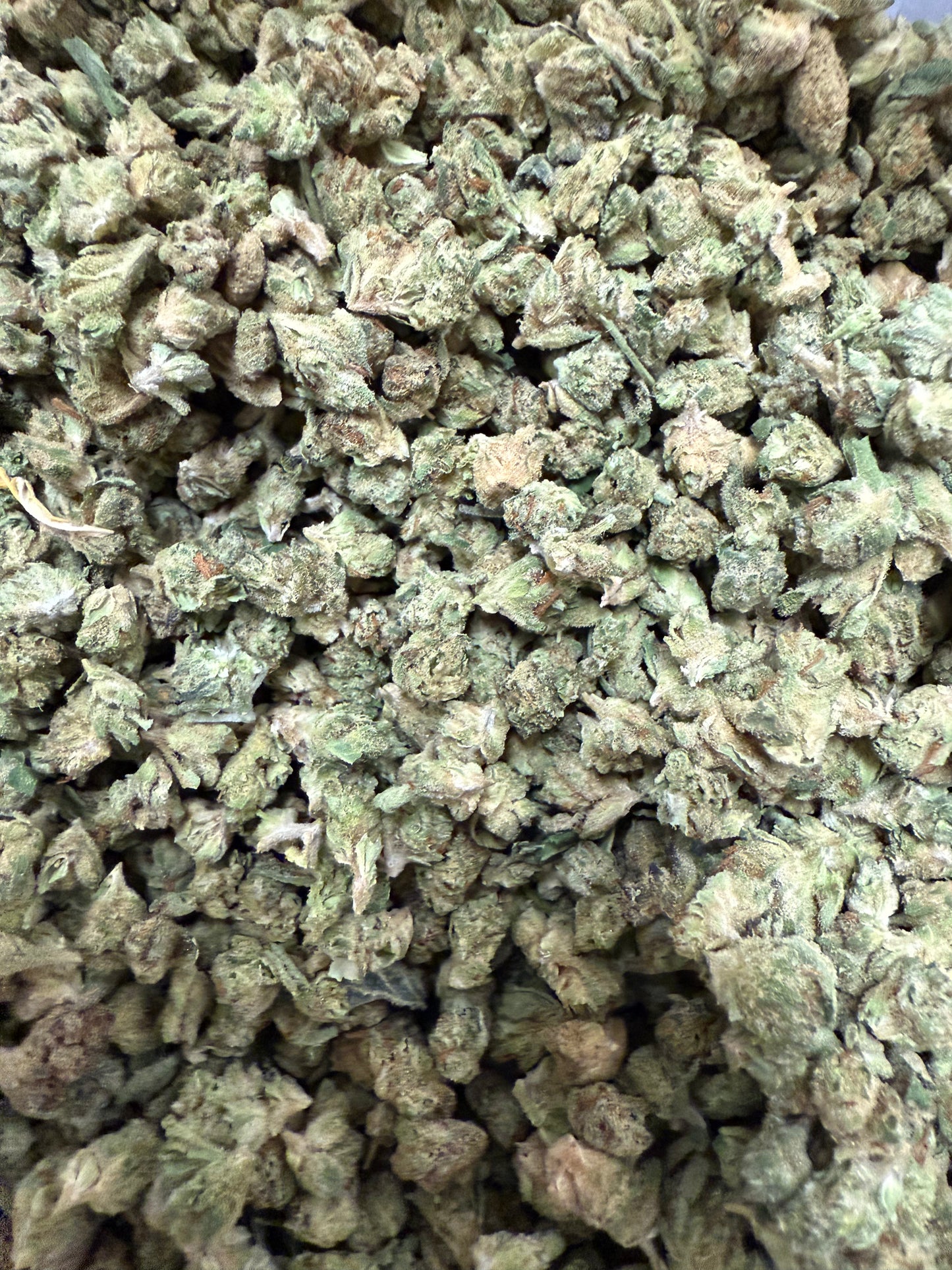1 Pound of Gelato Punch Strain THCA (Micro) FL Fulfillment Center