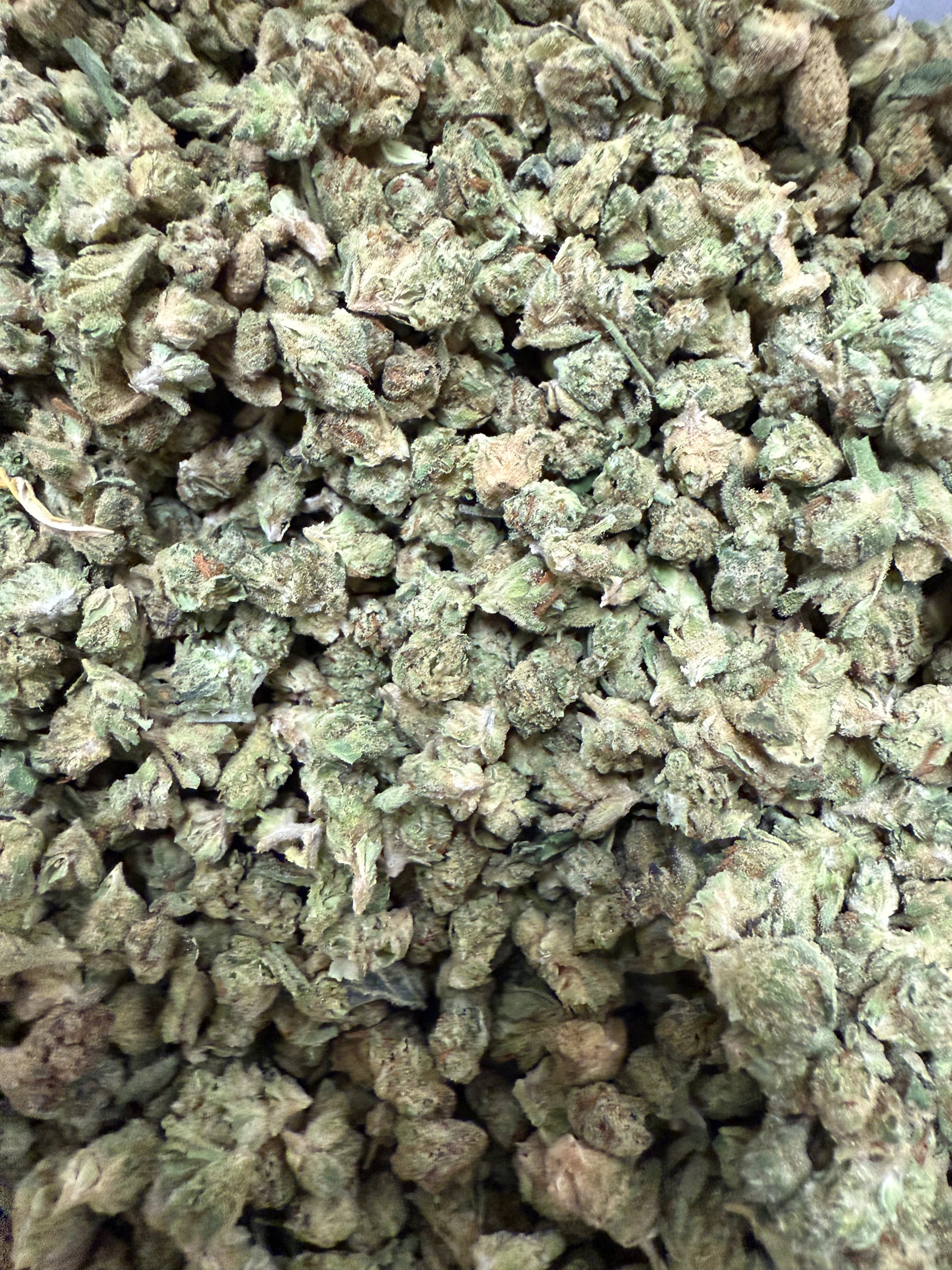 1 Pound of Gelato Punch Strain THCA (Micro) FL Fulfillment Center