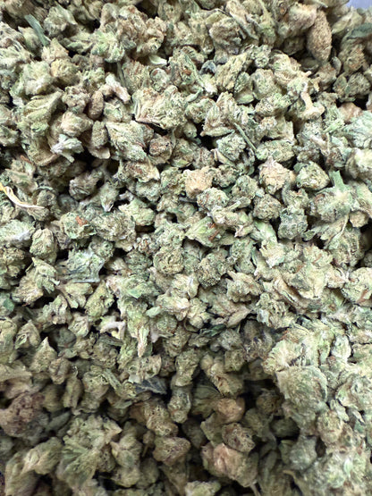 1 Pound of Gelato Punch Strain THCA (Micro) FL Fulfillment Center
