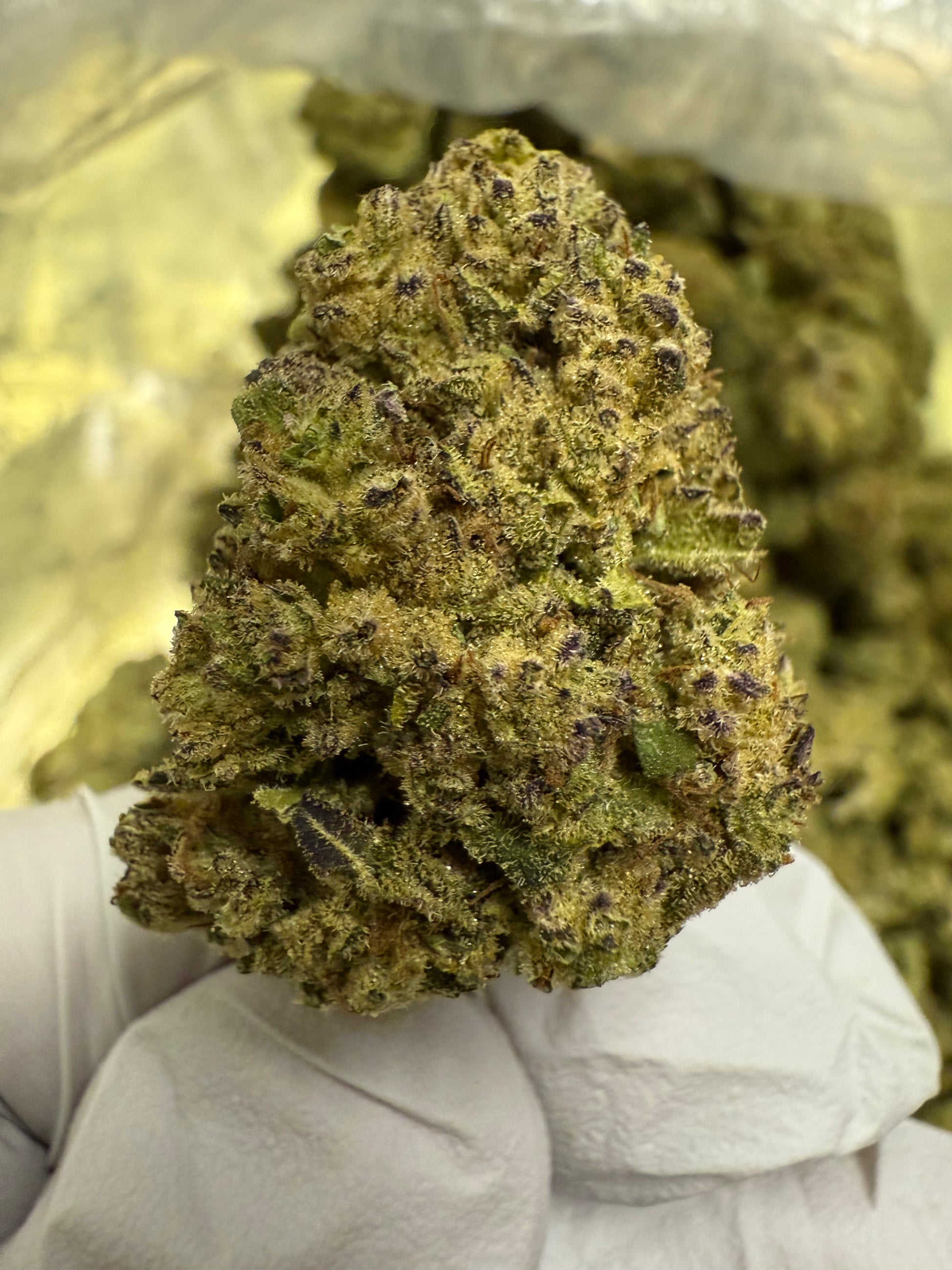 1 Pound of Triangle Kush THCA FL Fulfillment Center