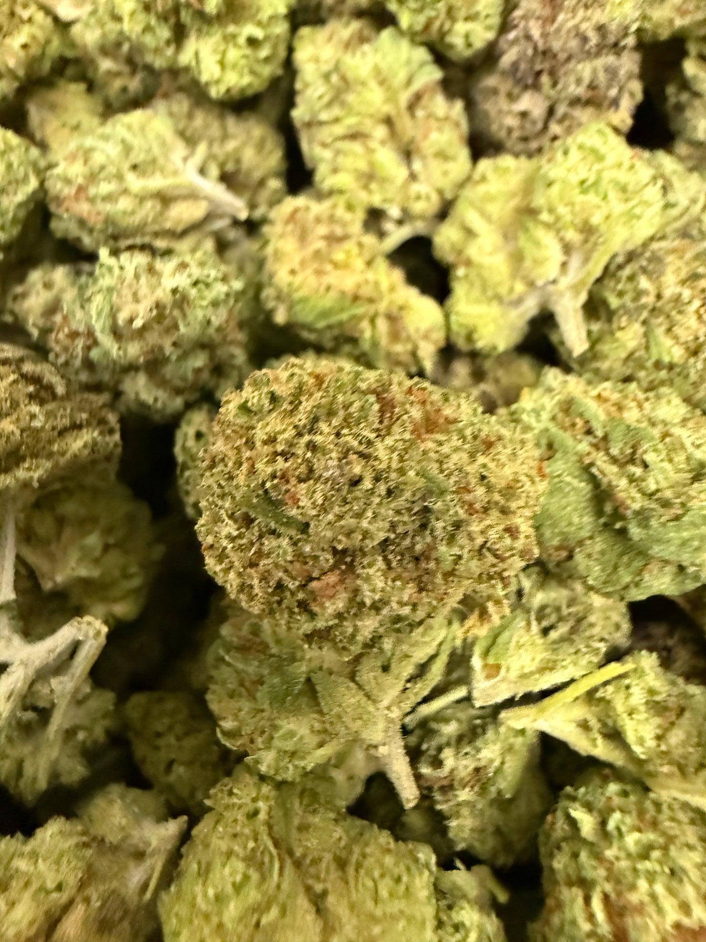 1 Pound of Triangle Kush THCA Small FL Fulfillment Center