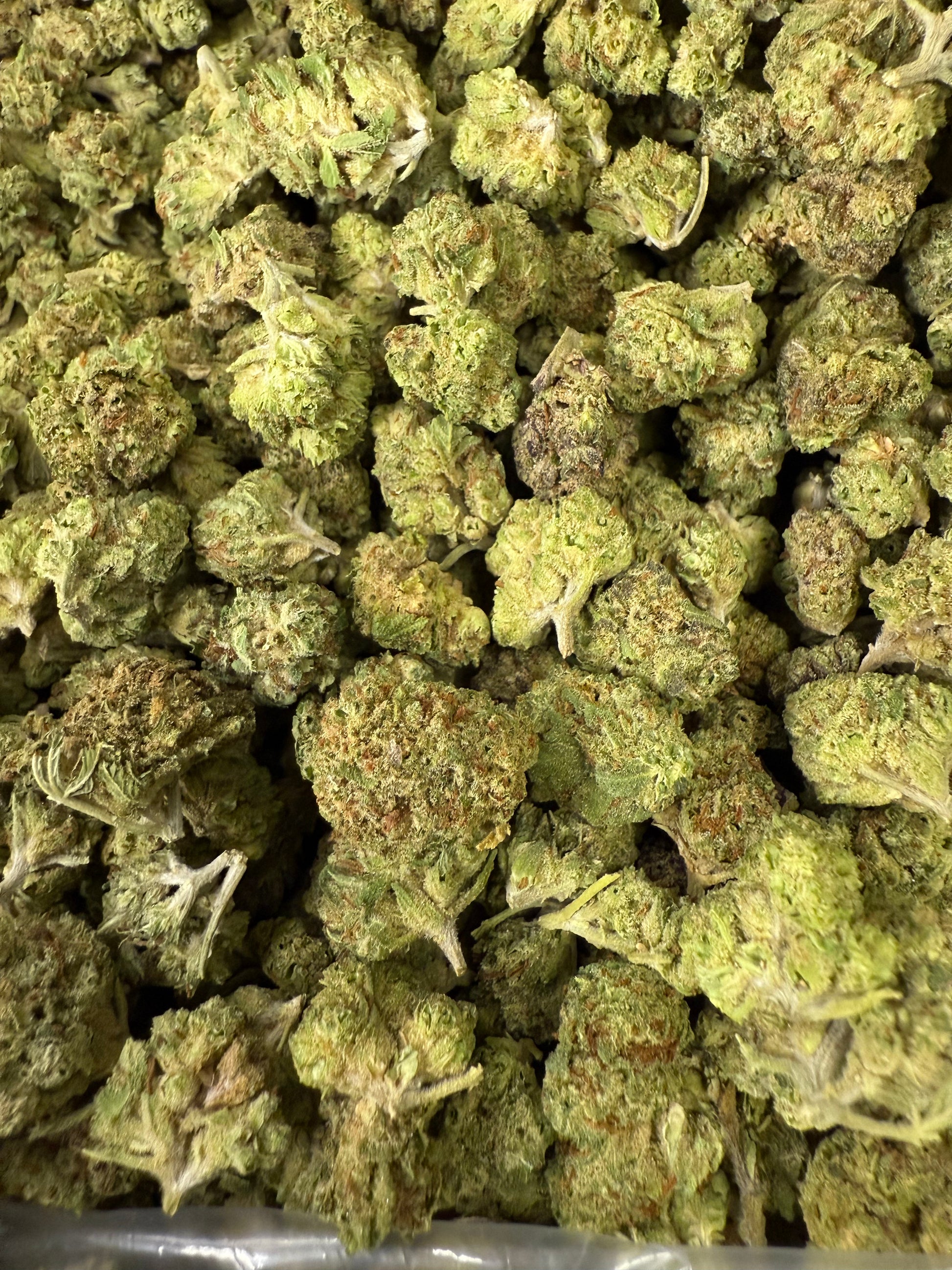 1 Pound of Triangle Kush THCA Small FL Fulfillment Center