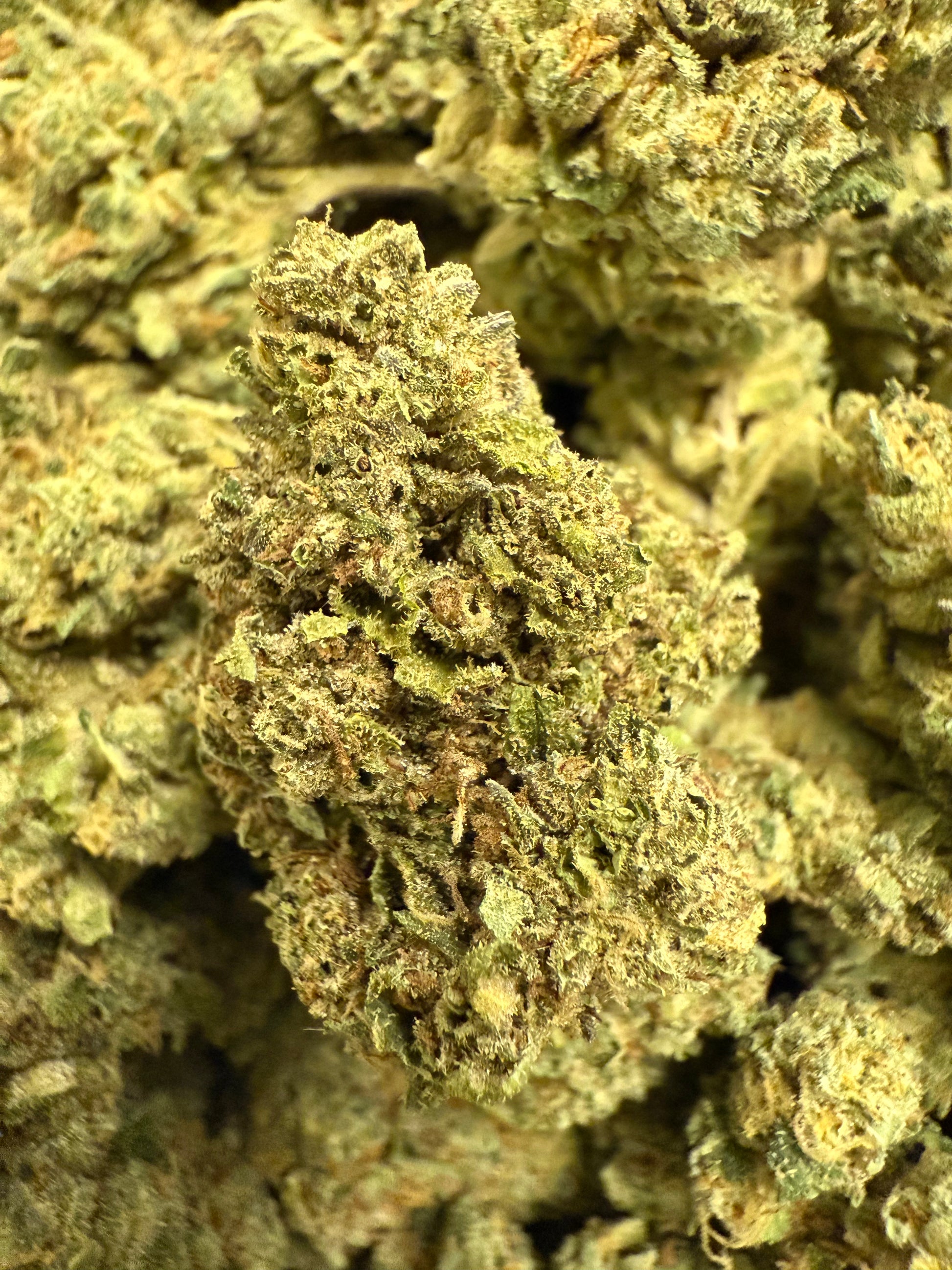 1 Pound of Zlurpee THCA FL Fulfillment Center