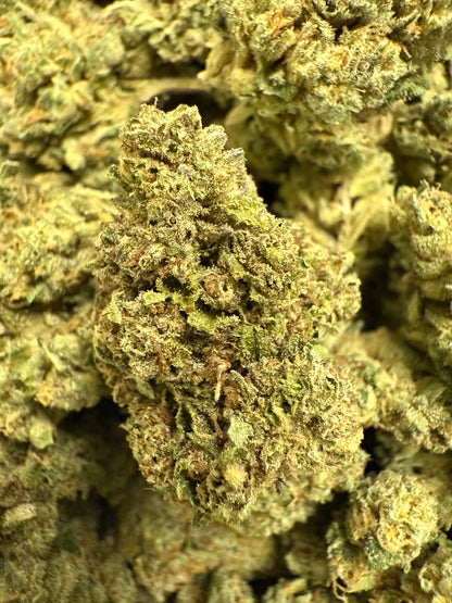 1 Pound of Zlurpee THCA FL Fulfillment Center