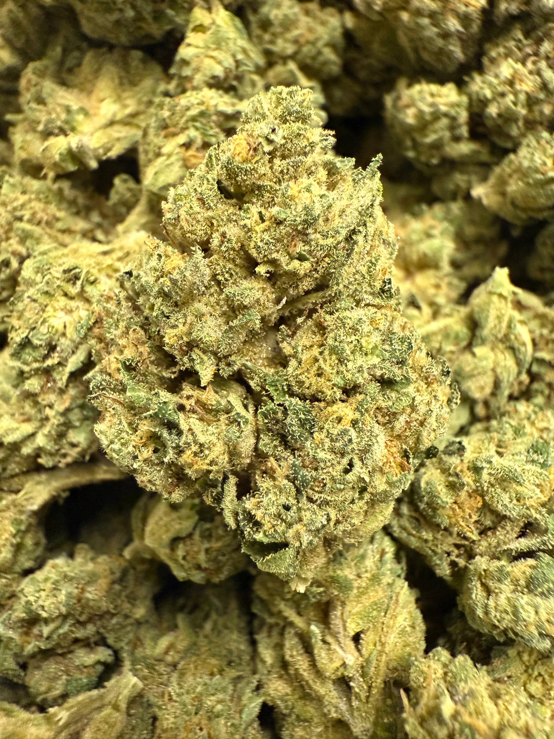 1 Pound of Zlurpee THCA FL Fulfillment Center