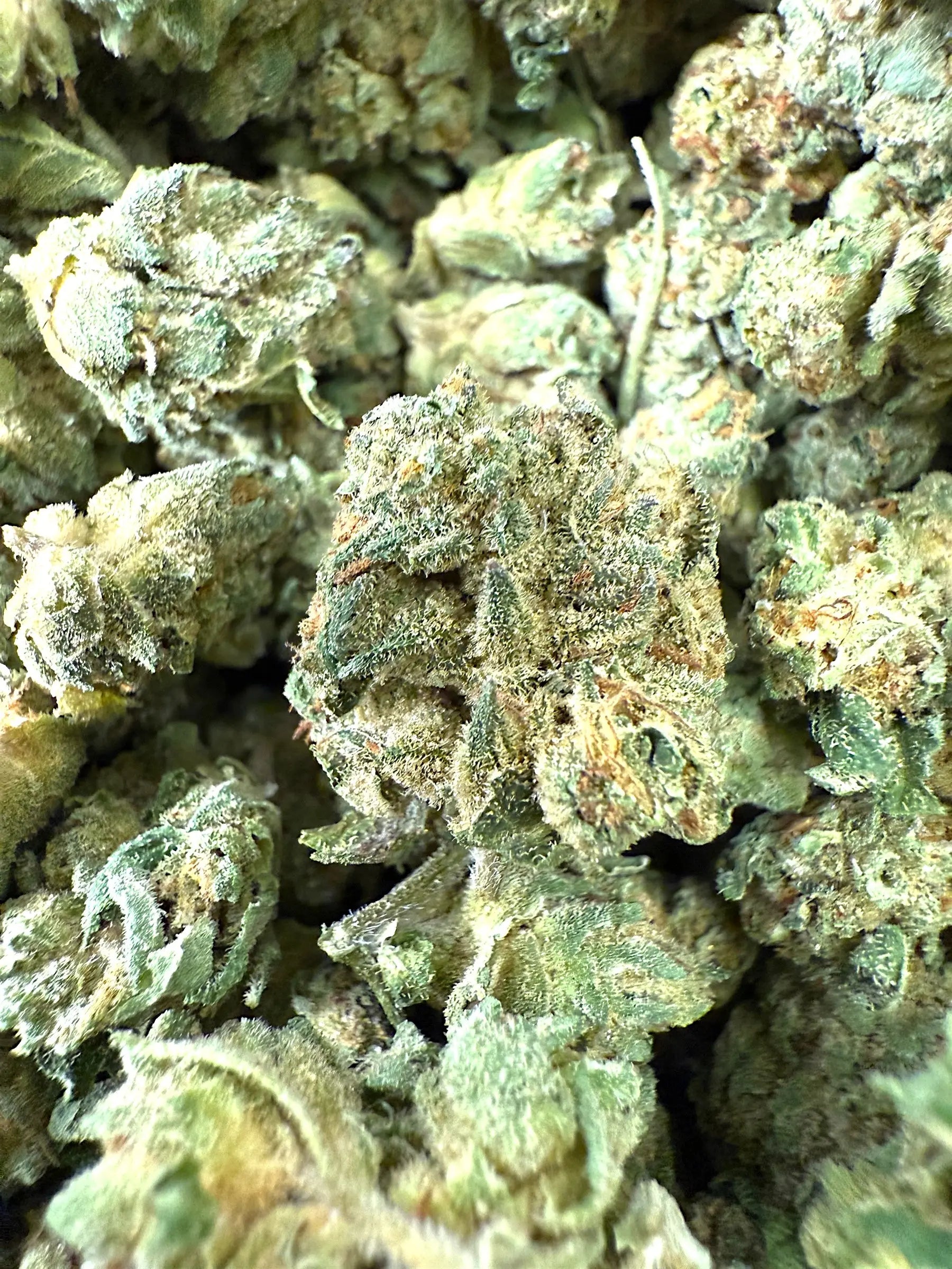 1 Pound of Zlurpee THCA (Smalls) FL Fulfillment Center