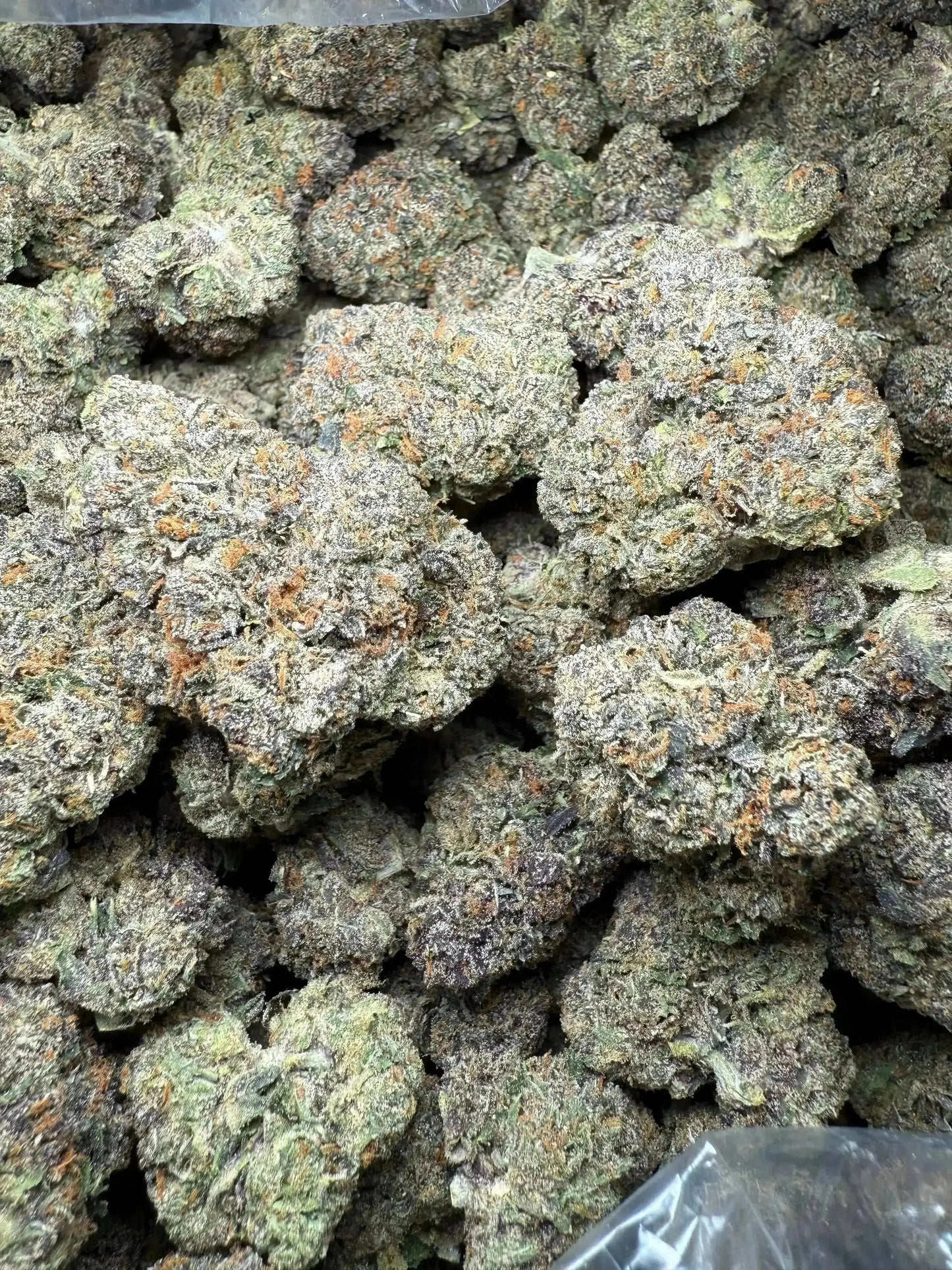 ½ oz AAA White Runtz (Indoor) FL Fulfillment Center