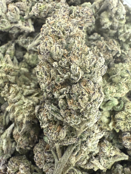 1 Pound of AAA Pink Cotton Candy THCA FL Fulfillment Center