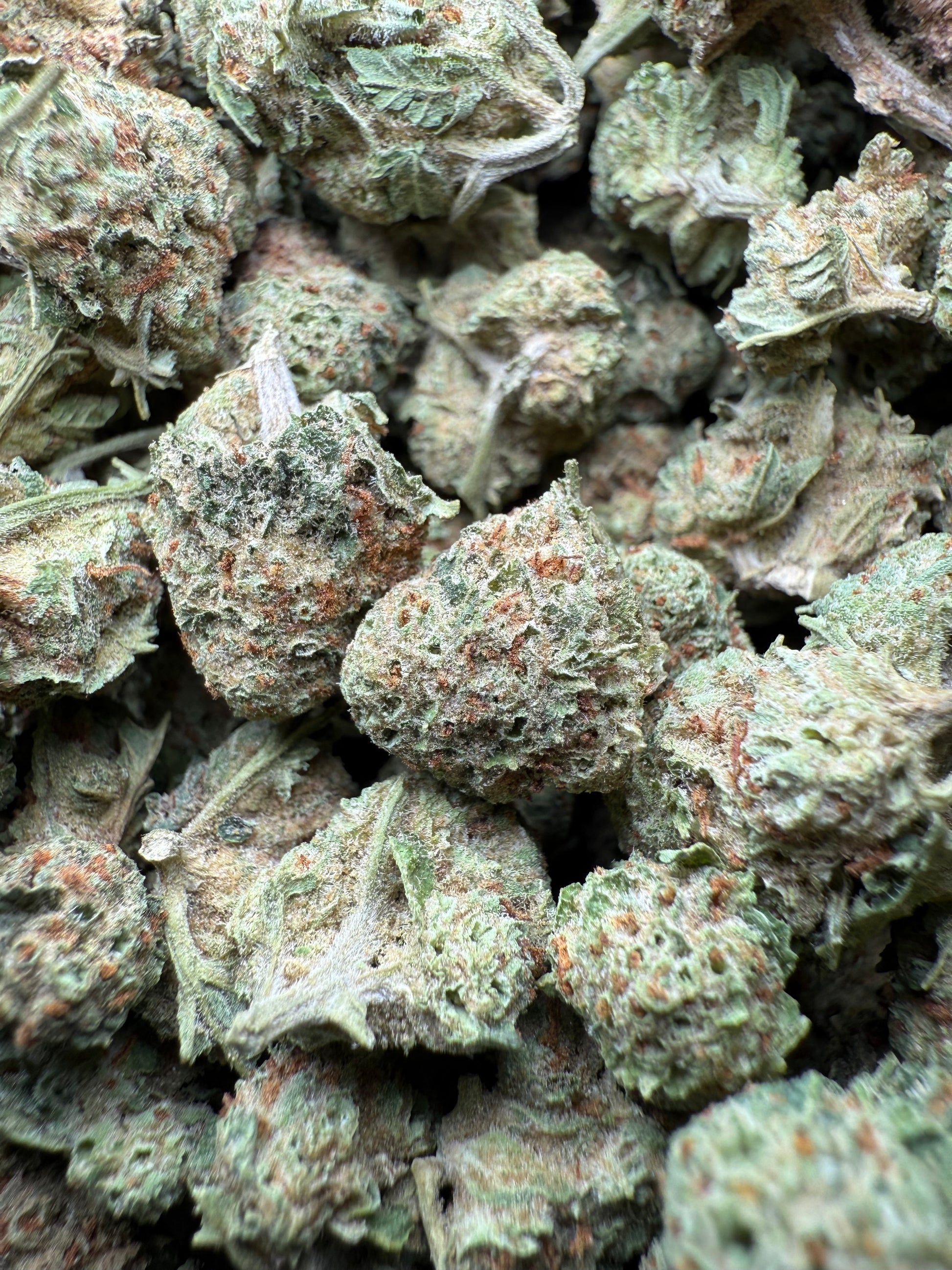 1 Pound - Josh D 1996 THCA Strain (Small) Frisco Labs