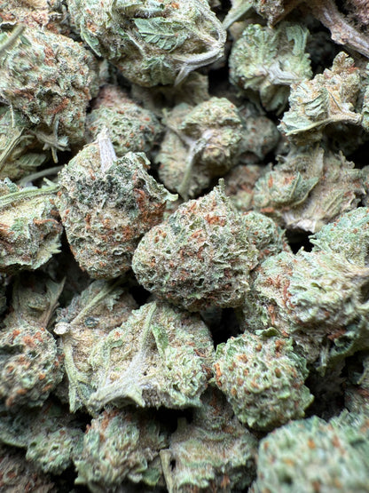 1 Pound - Josh D 1996 THCA Strain (Small) Frisco Labs