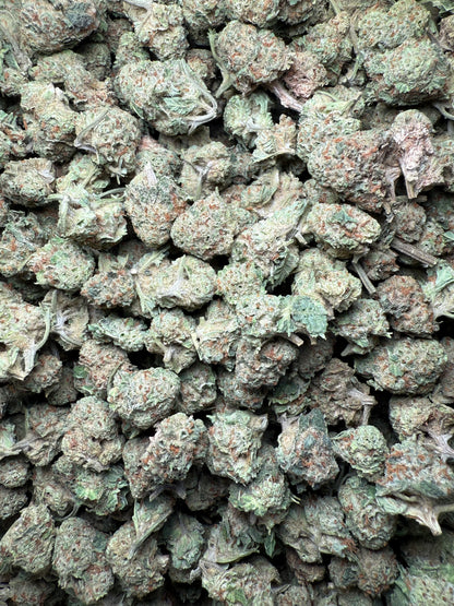 1 Pound - Josh D 1996 THCA Strain (Small) Frisco Labs