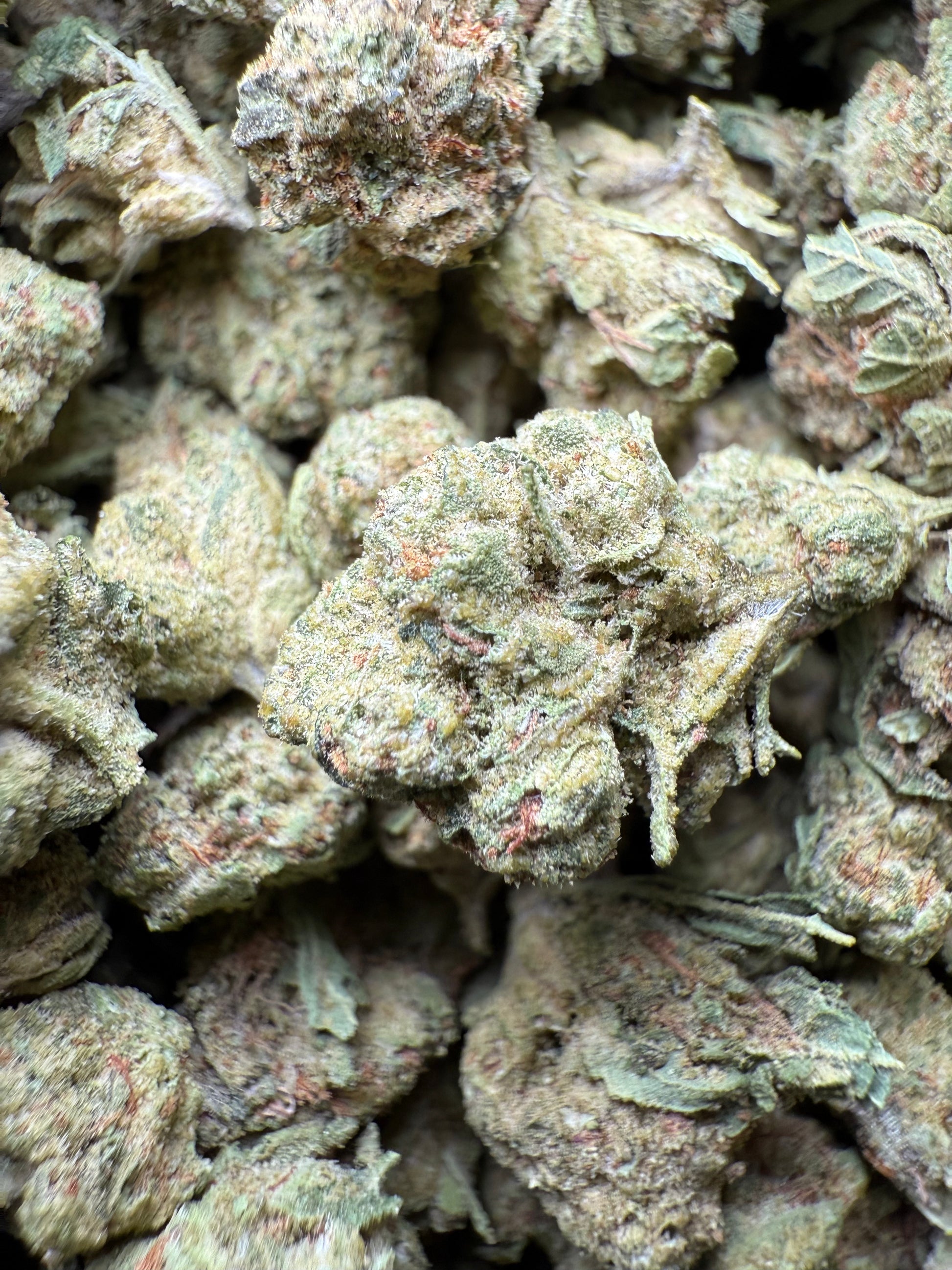 1 Pound - Super Sonic THCA Strain (Small) Frisco Labs