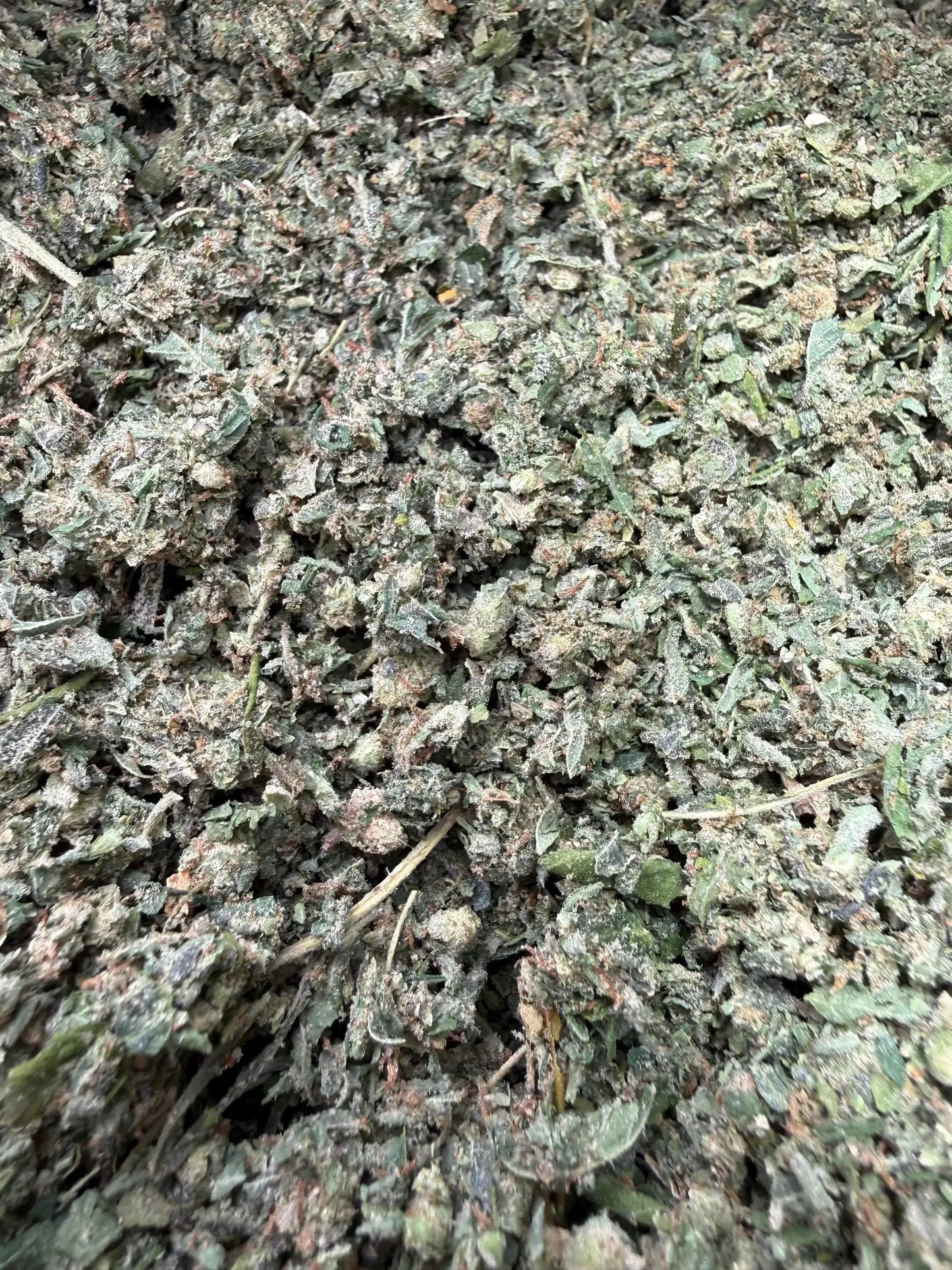 1 Pound Wholesale THCA Trim Shake Frisco Labs