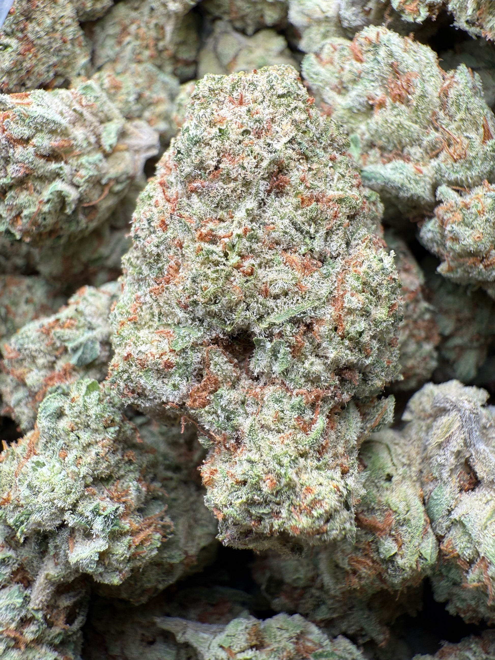 1 Pound - AAA Blue Dream Queen THCA Strain Frisco Labs