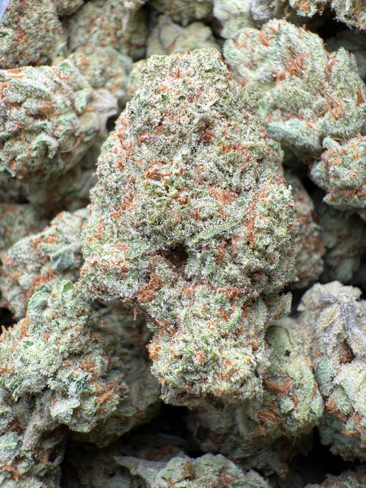 1 Pound - AAA Blue Dream Queen THCA Strain Frisco Labs