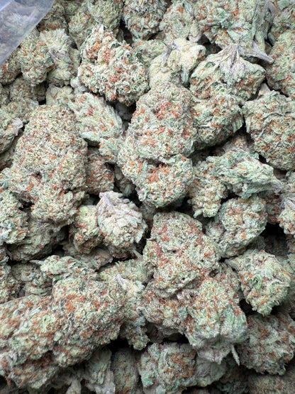 1 Pound - AAA Blue Dream Queen THCA Strain Frisco Labs