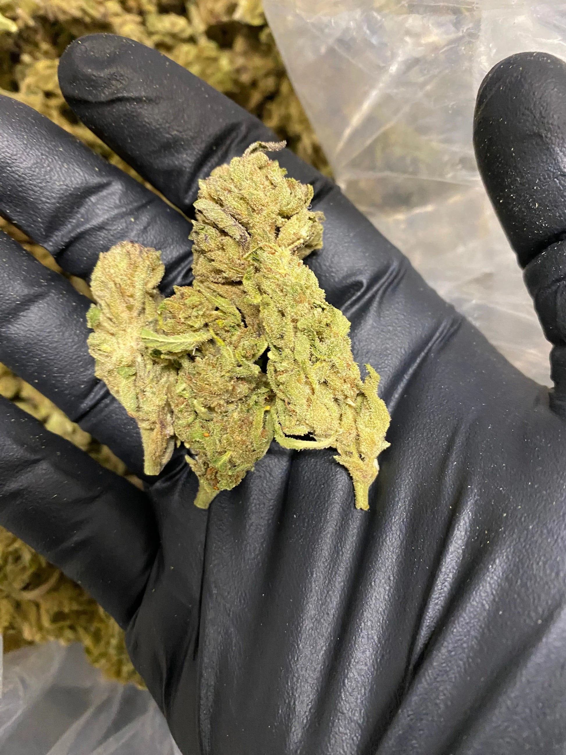 Afgani THCA - Frisco Labs