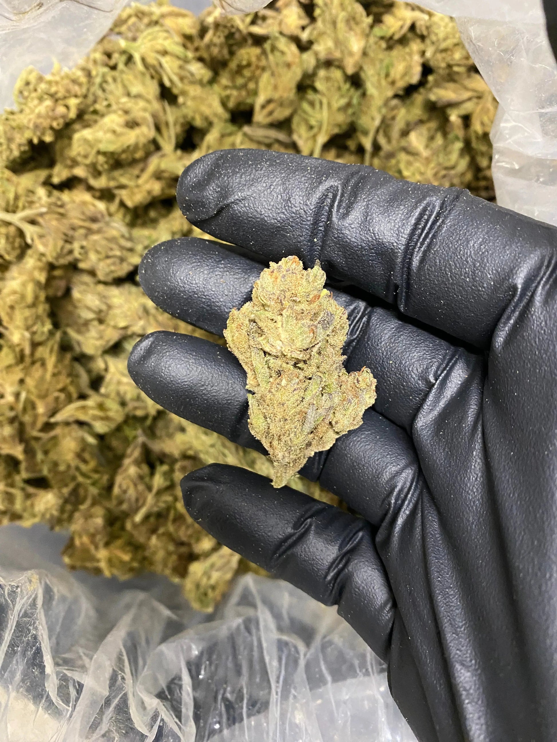 Afgani THCA - Frisco Labs