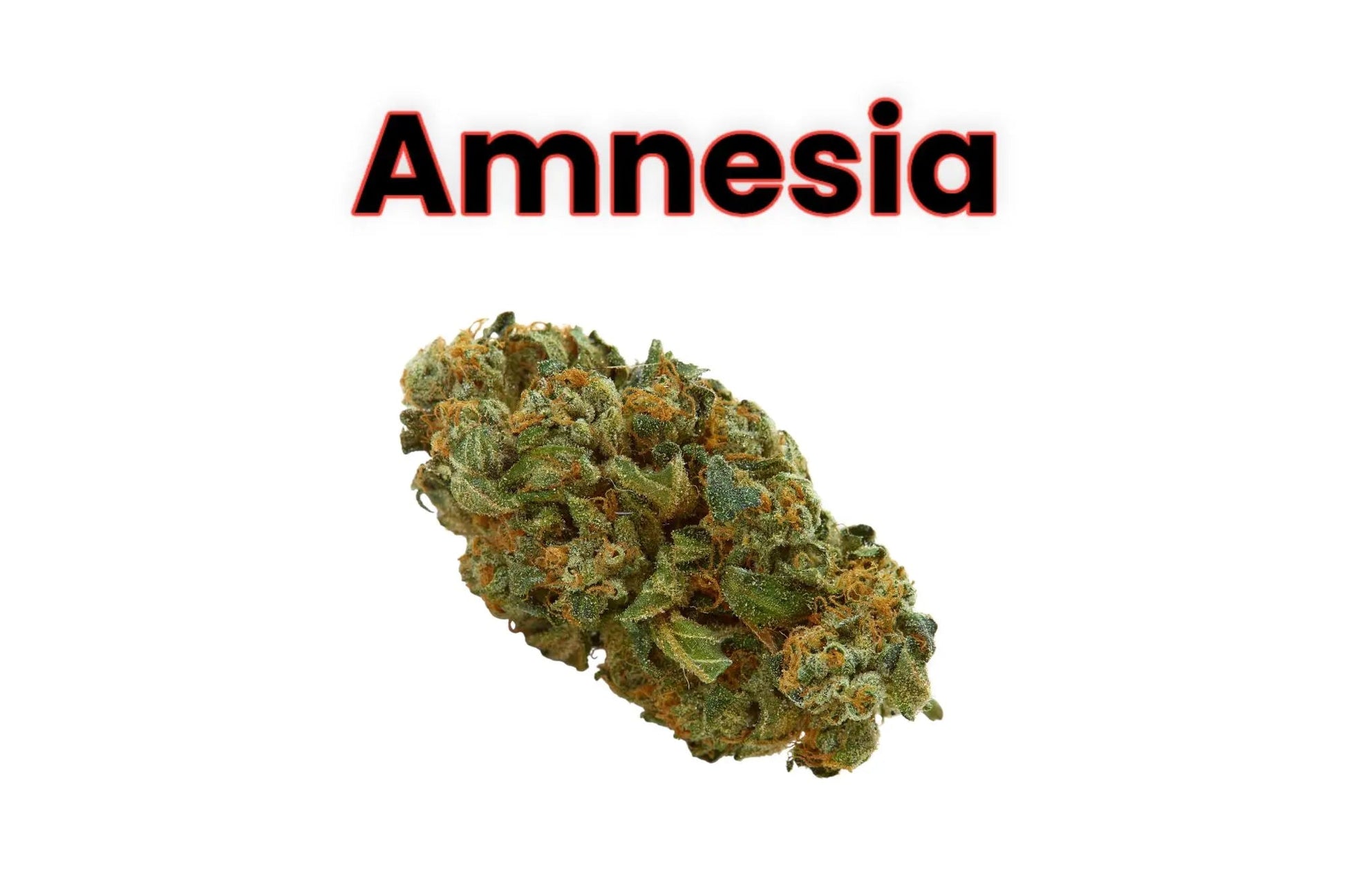 Amnesia THCA - Frisco Labs