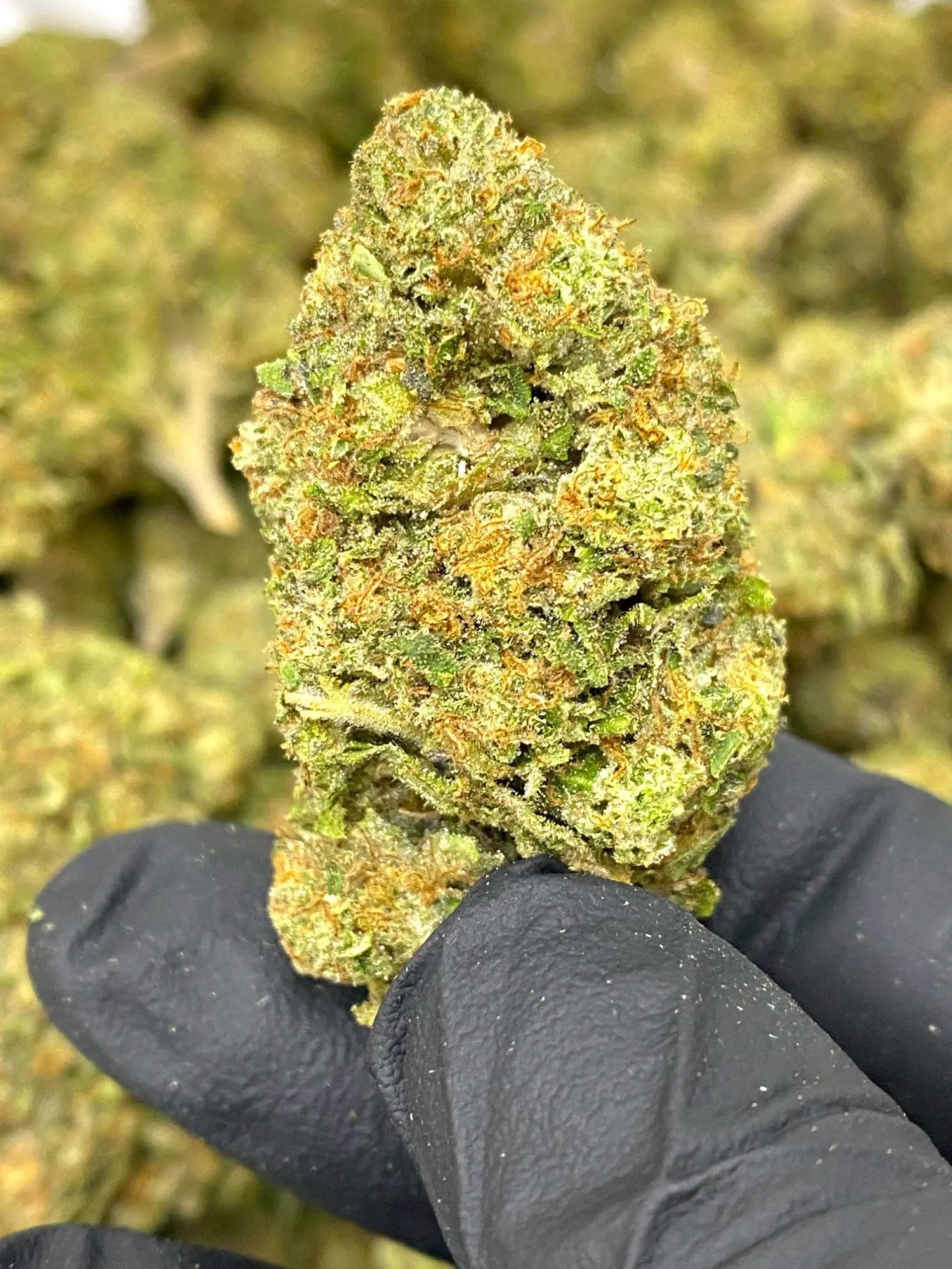 Black RuntzTHCA Frisco Labs
