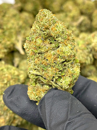 Black RuntzTHCA Frisco Labs