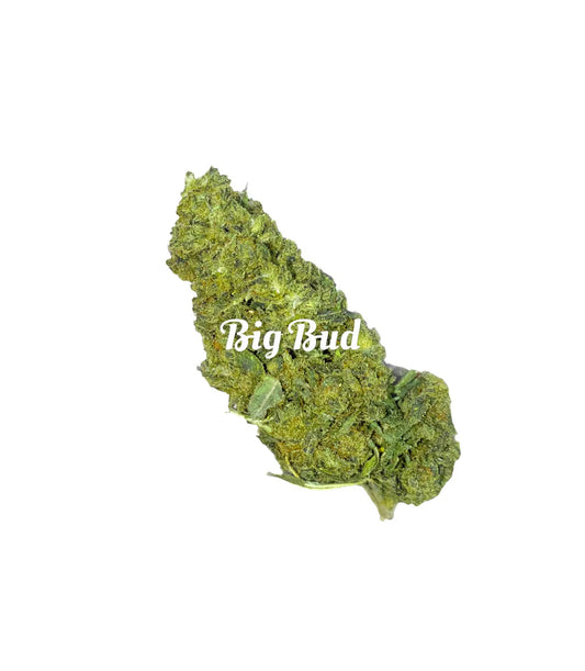 CBD Flower Big Bud Frisco Labs