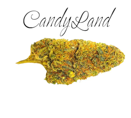 Candyland - Frisco Labs 