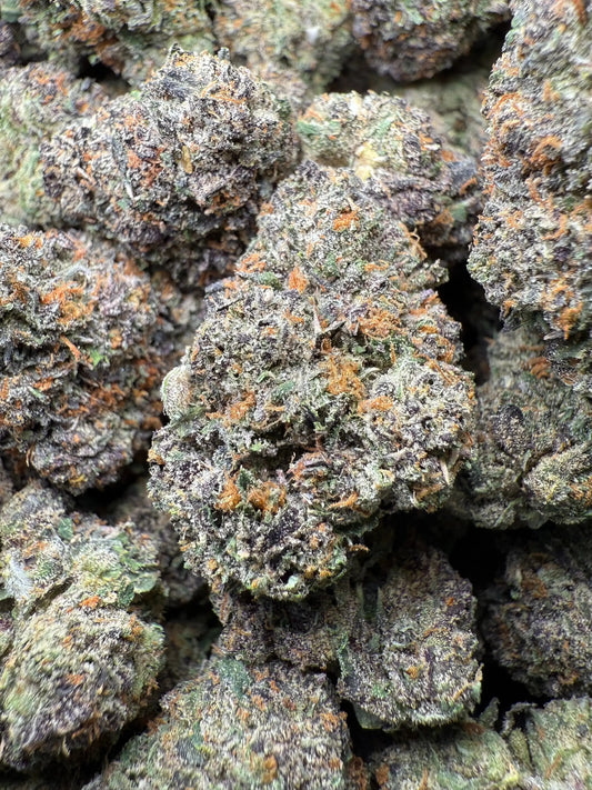 ½ oz AAA White Runtz (Indoor) FL Fulfillment Center