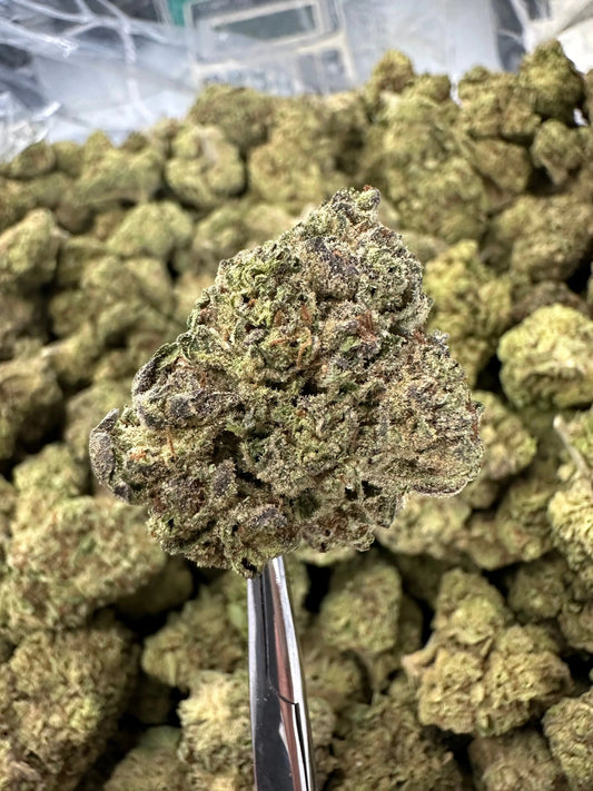 Frisco Labs - Apple Fritter THCA