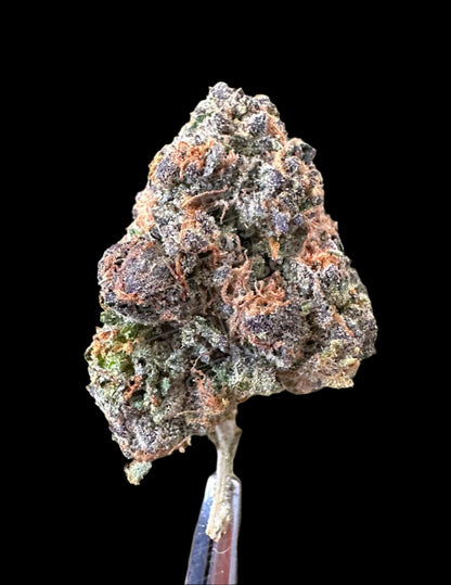 Frisco Labs - Exotic Indoor Blue Candyz Gelato THCA Strain Frisco Labs