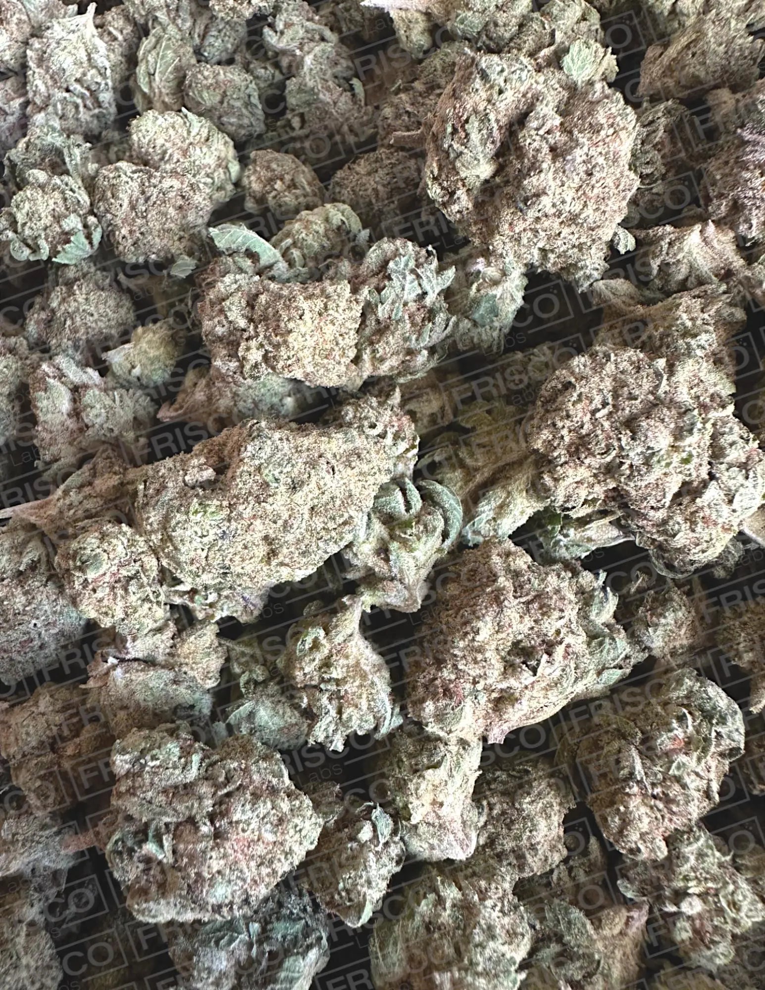 Frisco Labs Exotic Indoor Super Glue OG THCA Strain Frisco Labs