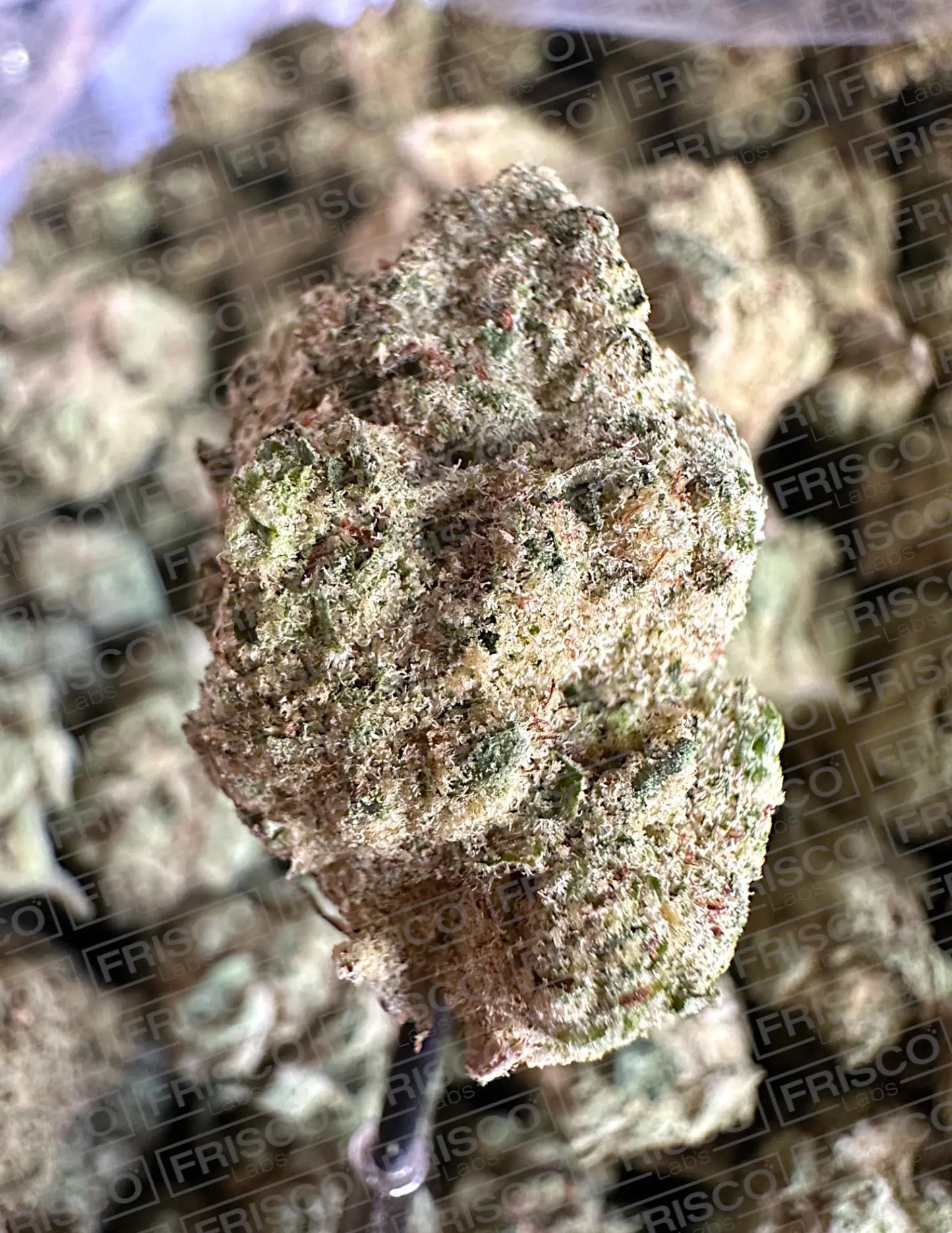 Frisco Labs Exotic Indoor Super Glue OG THCA Strain Frisco Labs
