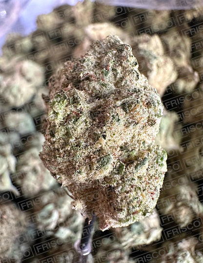 Frisco Labs Exotic Indoor Super Glue OG THCA Strain Frisco Labs