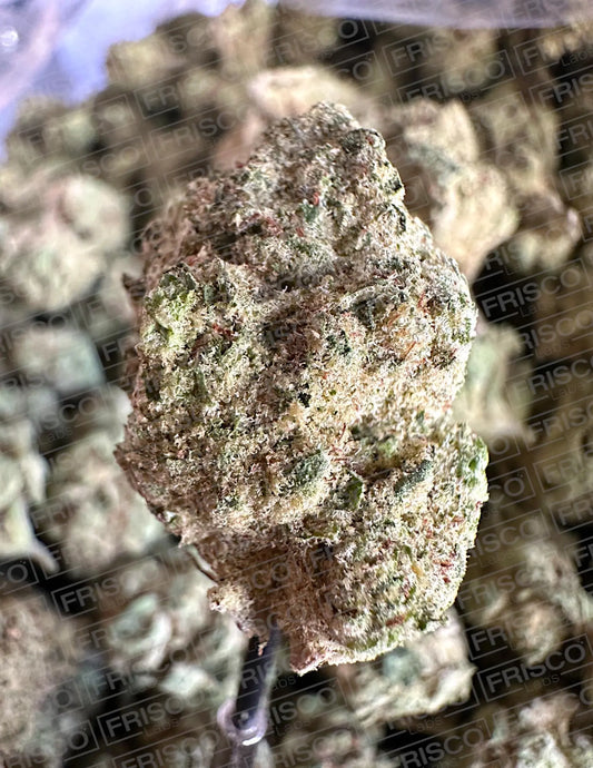 Frisco Labs Exotic Indoor Super Glue OG THCA Strain Frisco Labs