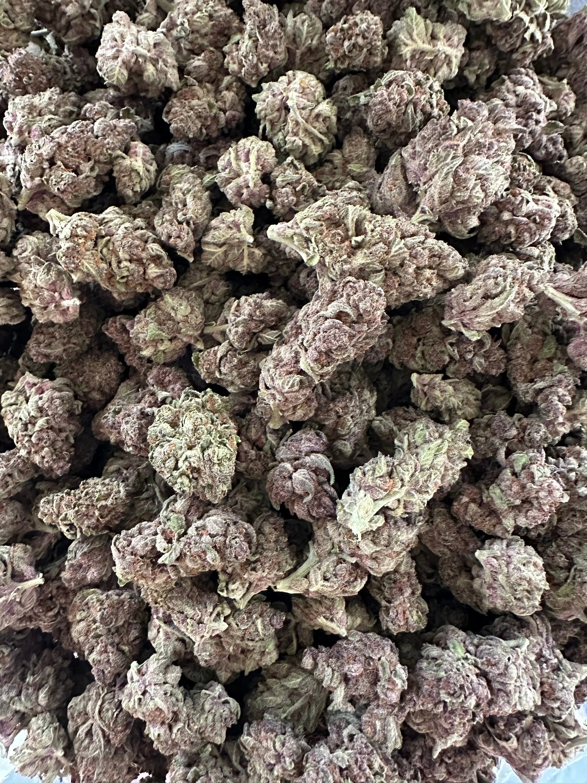 Frisco Labs - Exotic Indoor Tropicanna Cherry THCA 