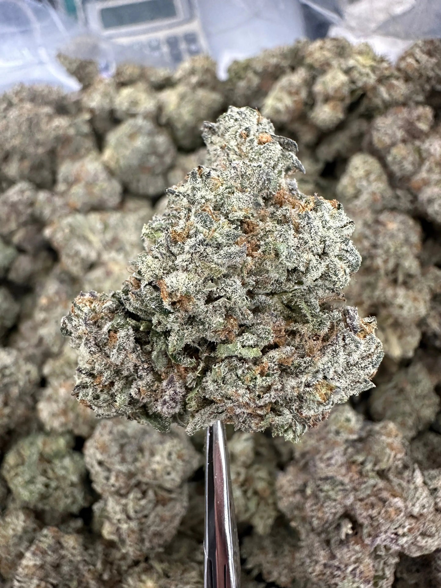 Frisco Labs - Indoor Exotic - Cookies And Cream THCA Strain Frisco Labs