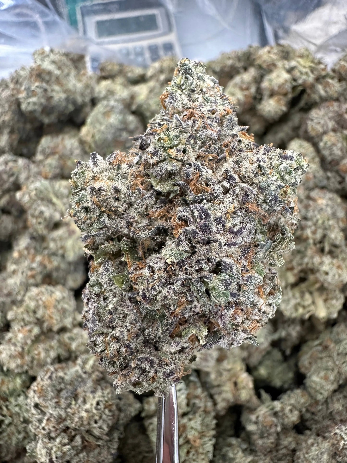 Frisco Labs - Indoor Exotic - Cookies And Cream THCA Strain Frisco Labs