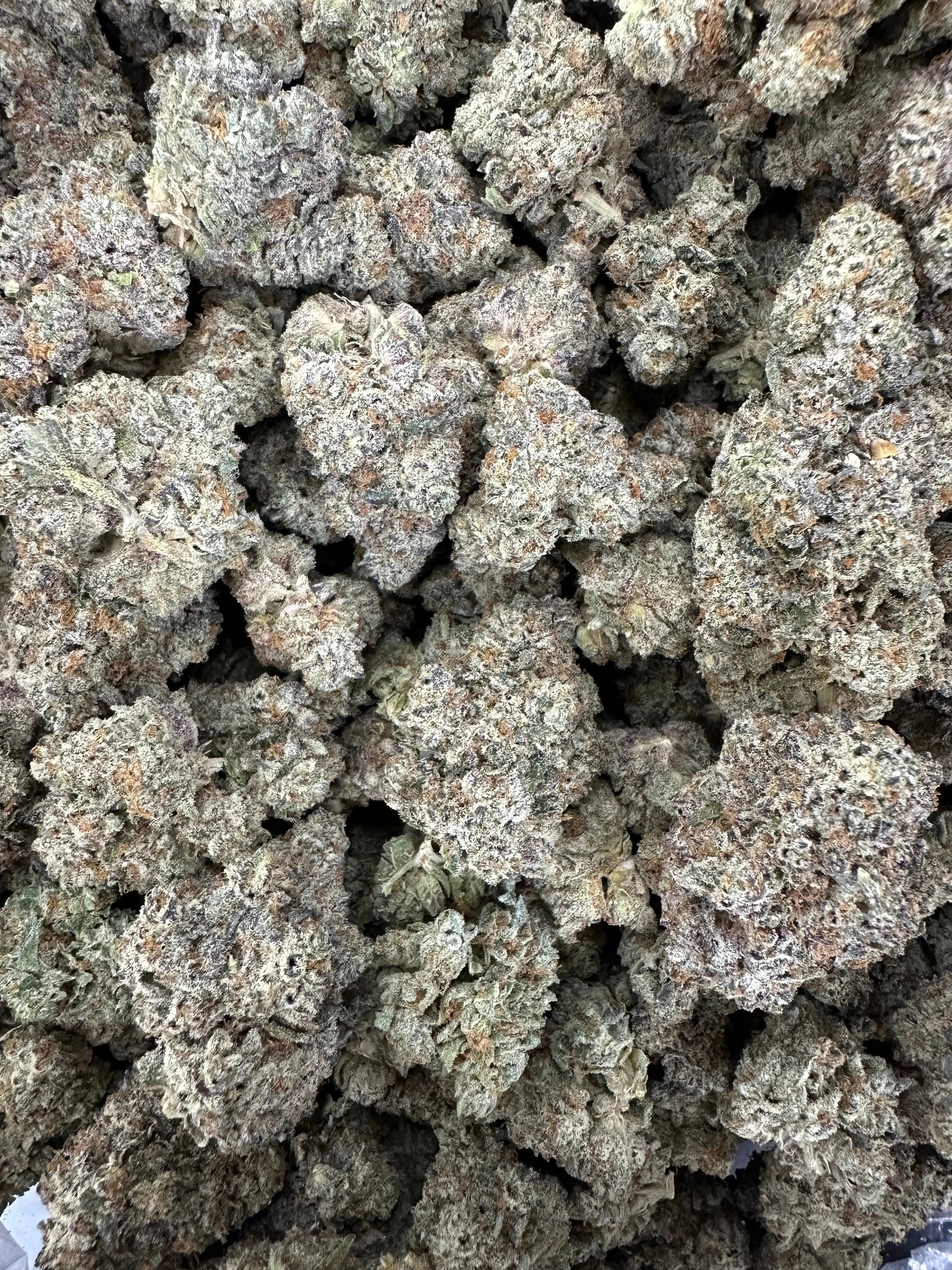 Frisco Labs - Indoor Exotic - Cookies And Cream THCA Strain Frisco Labs