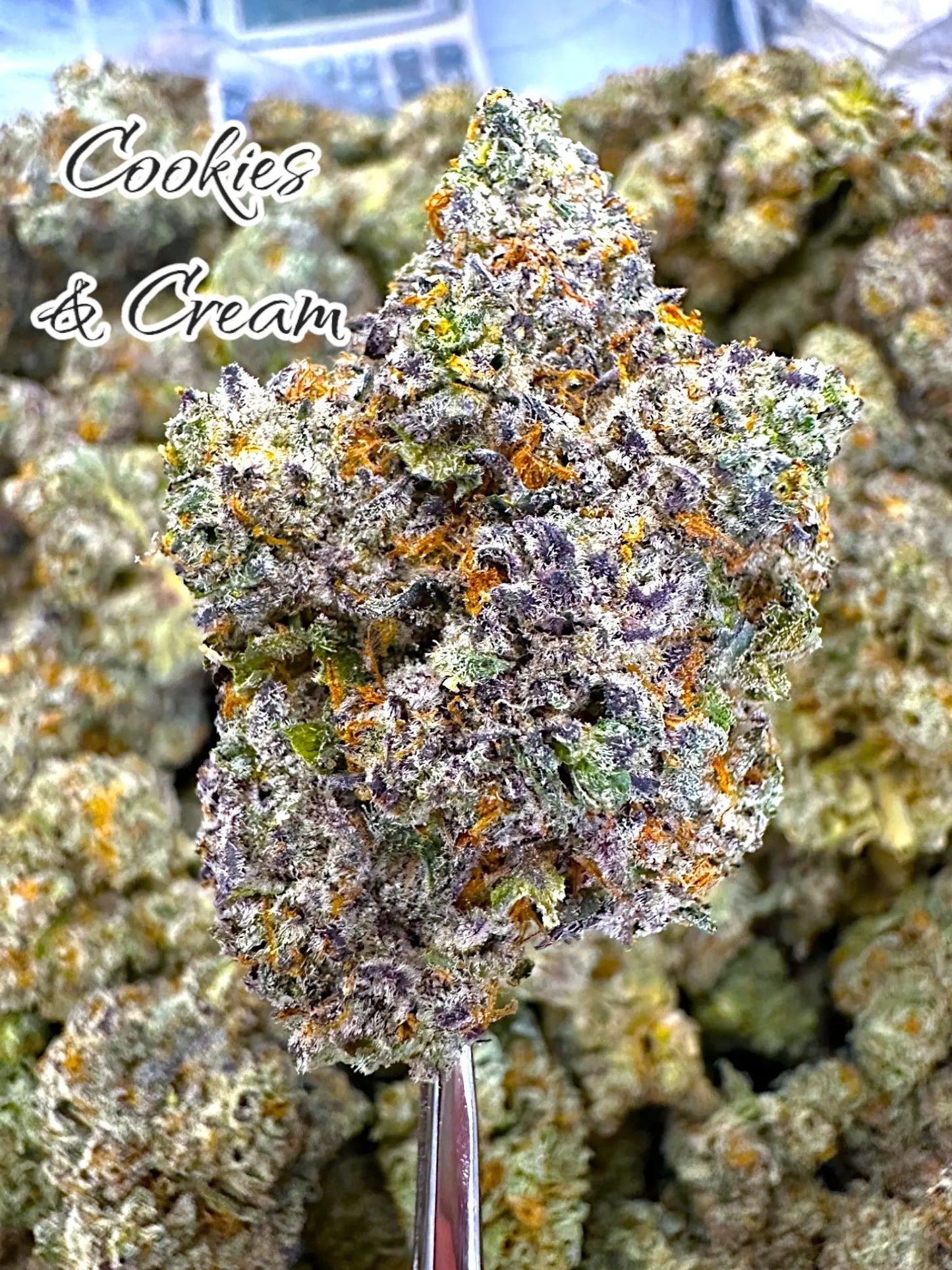 Frisco Labs - Indoor Exotic - Cookies And Cream THCA Strain Frisco Labs