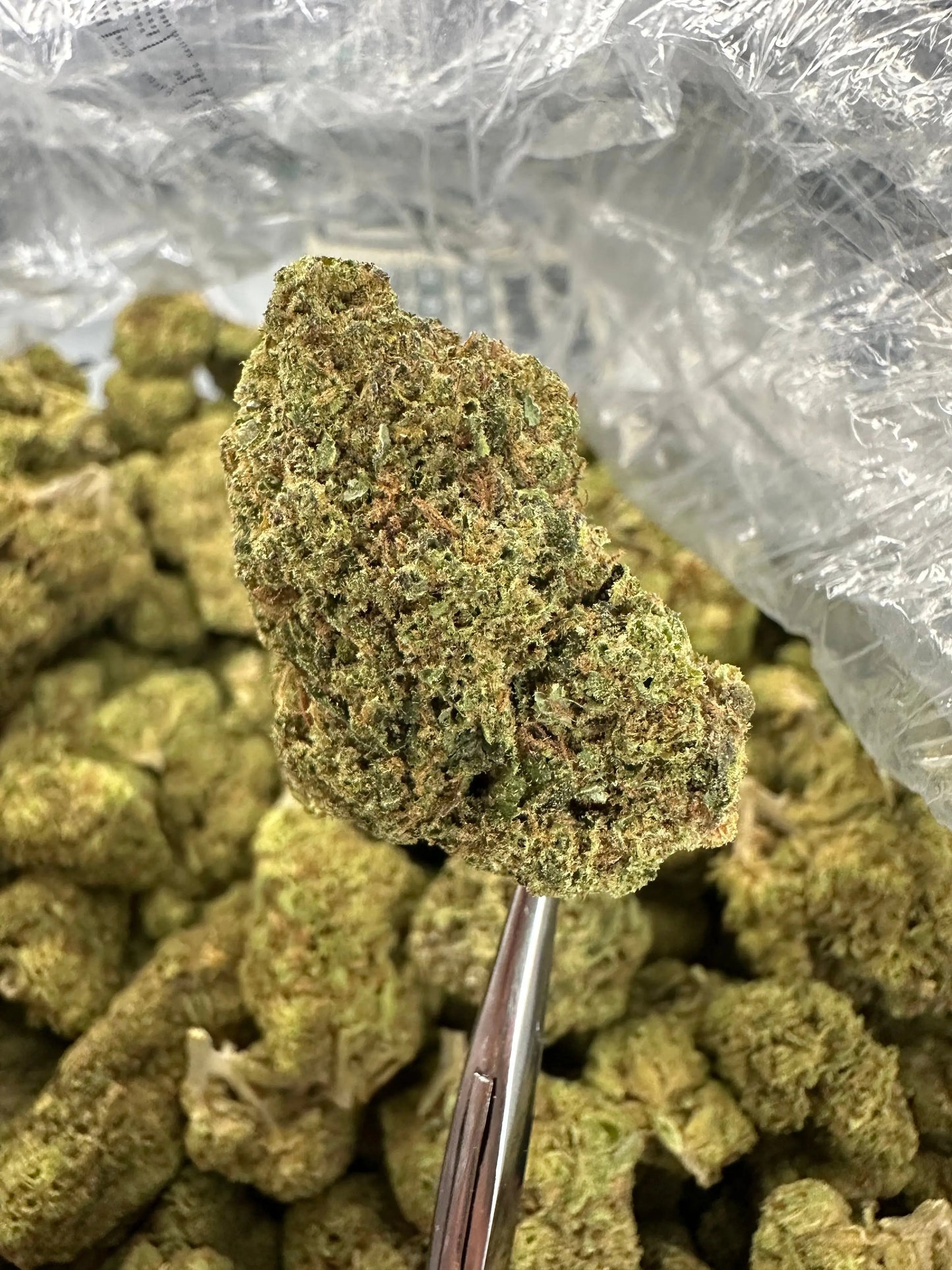 Frisco Labs - White Runtz Strain THCA 
