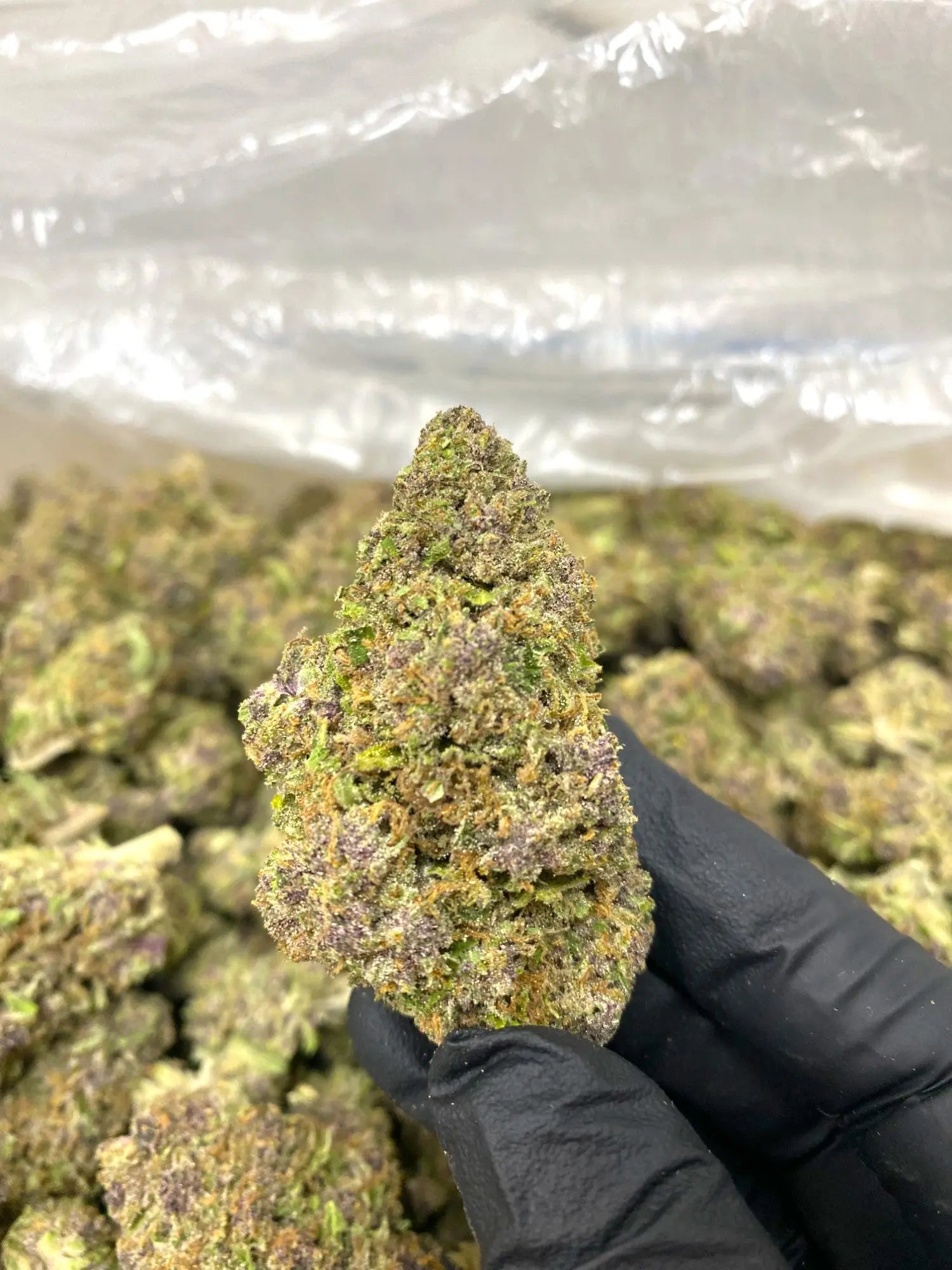 Grape Soda THCA Frisco Labs
