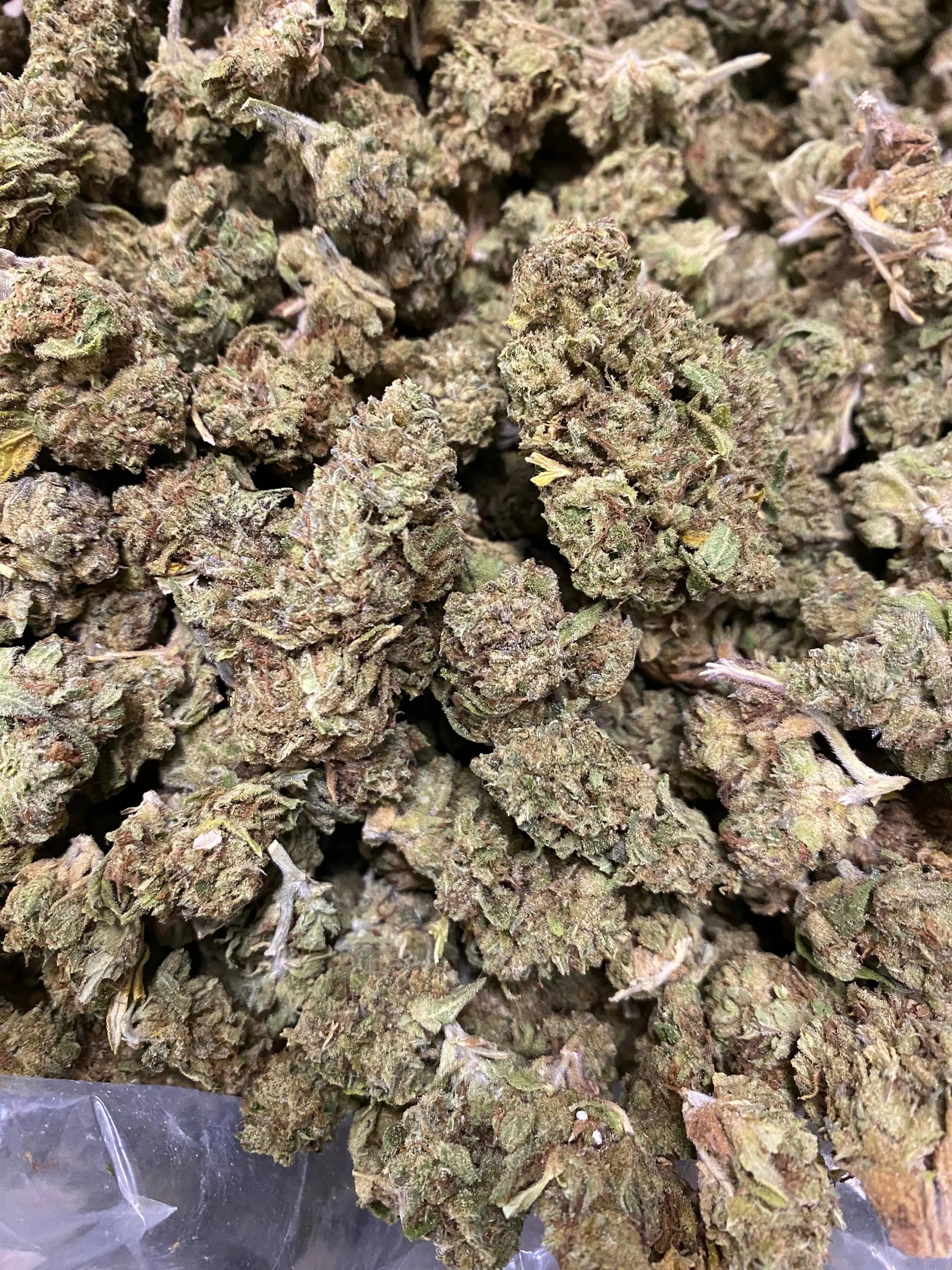 Gushers THCA - Frisco Labs