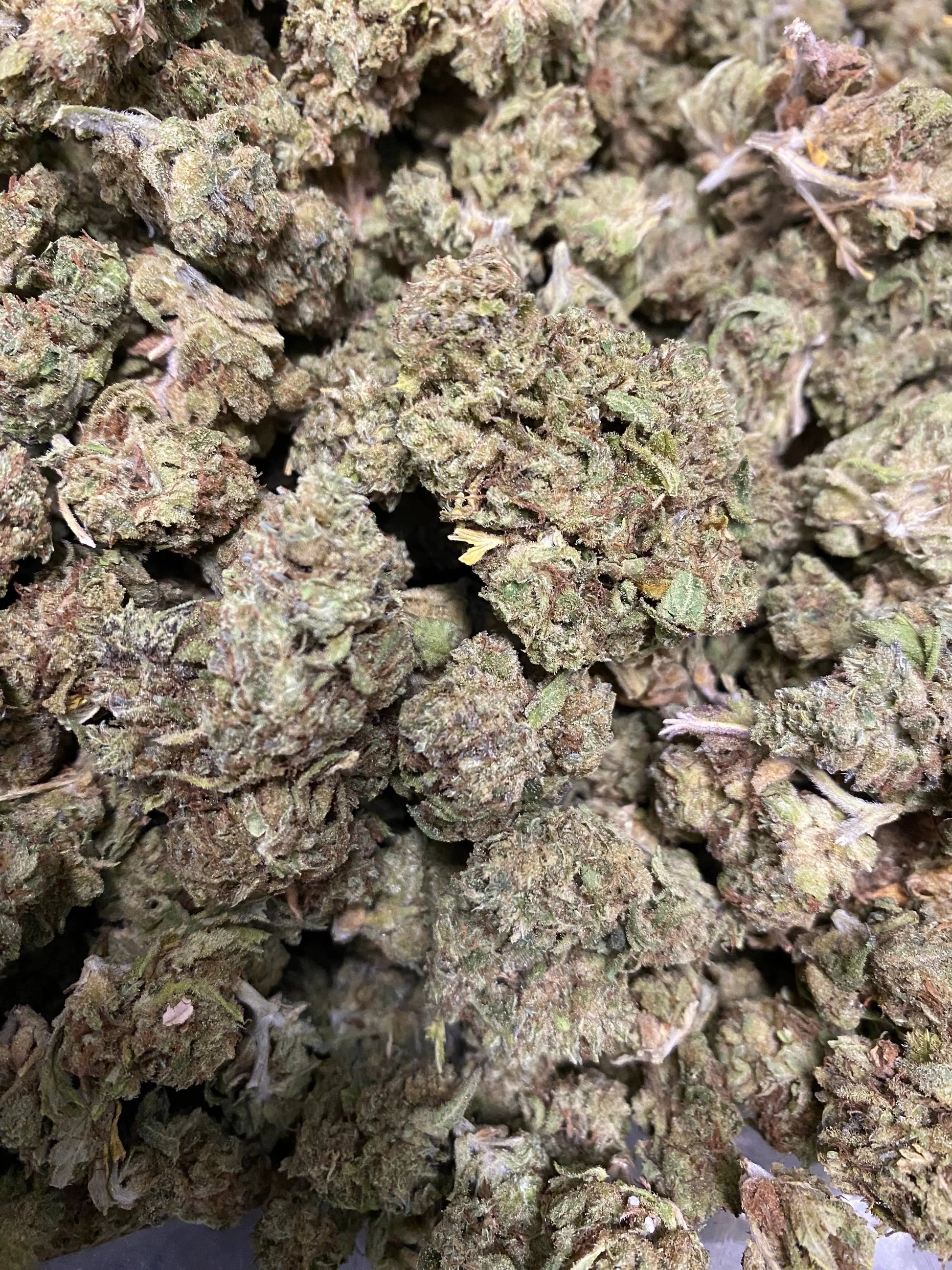 Gushers THCA - Frisco Labs